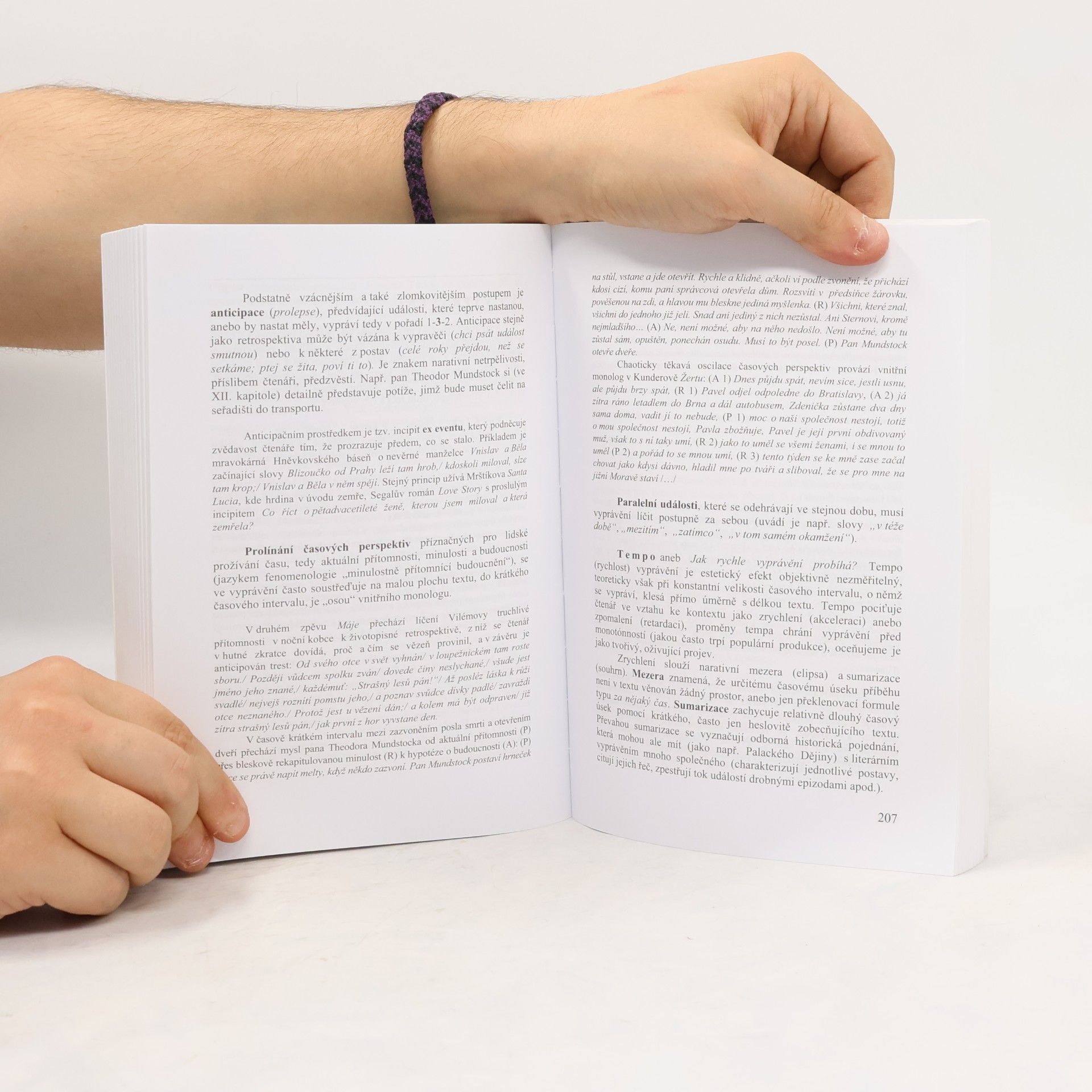 Josef Peterka Teorie literatury pro učitele