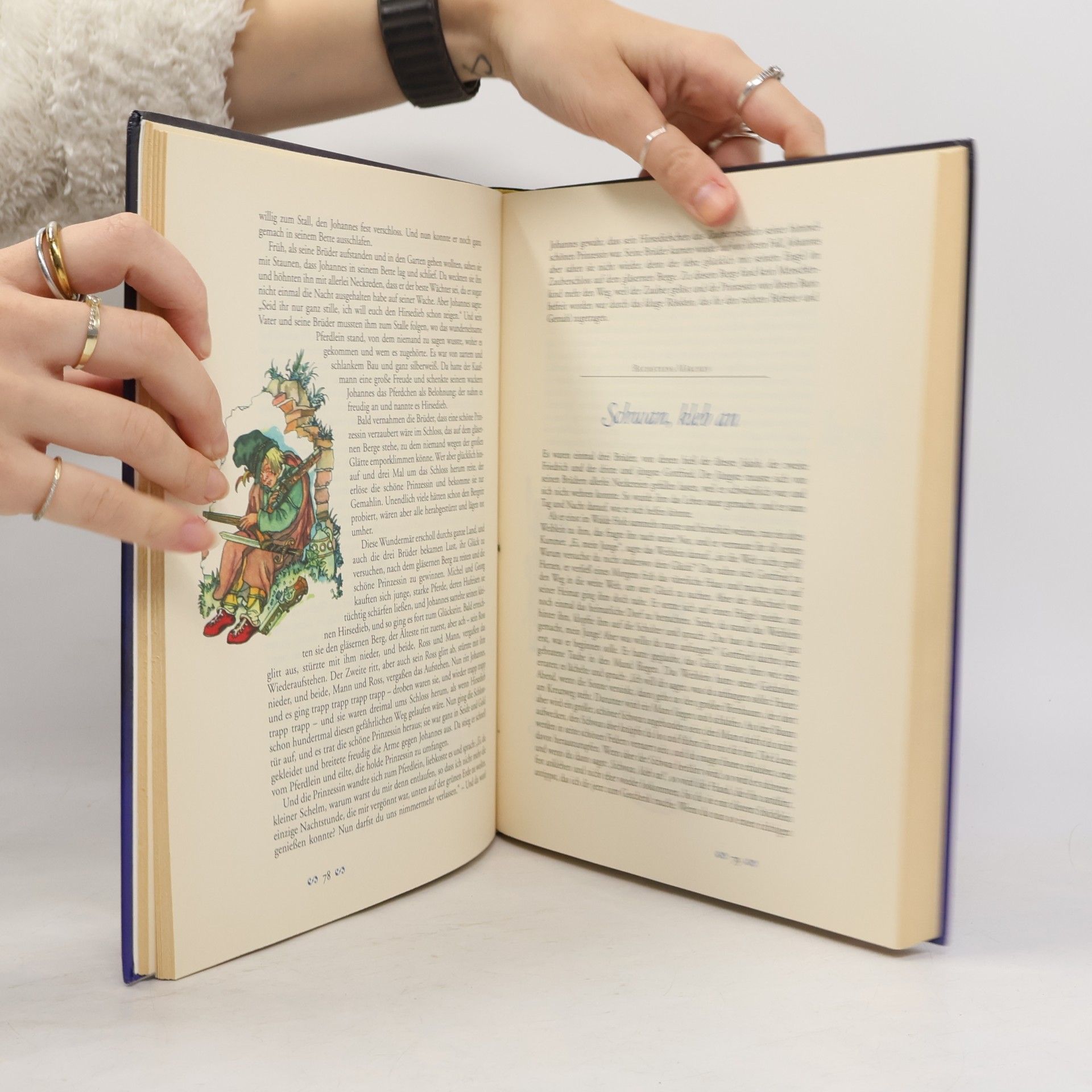 Kolektiv autorů Knaurs grosses Märchenbuch