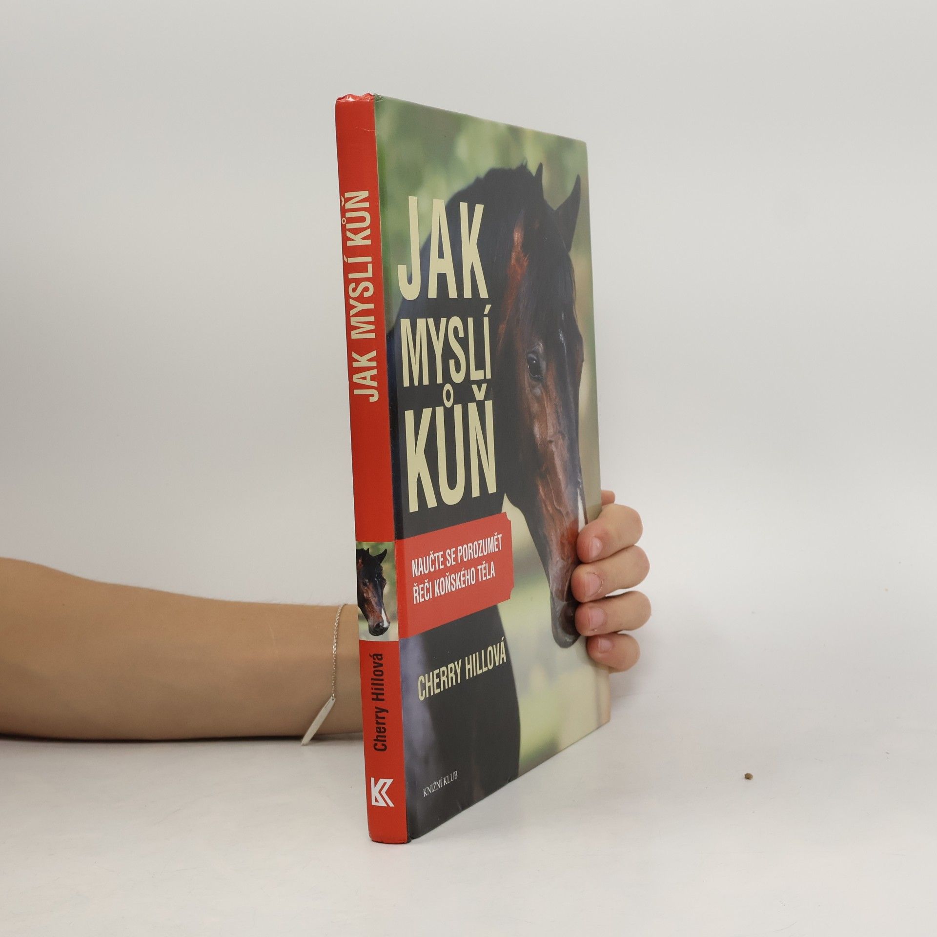 Jak myslí kůň