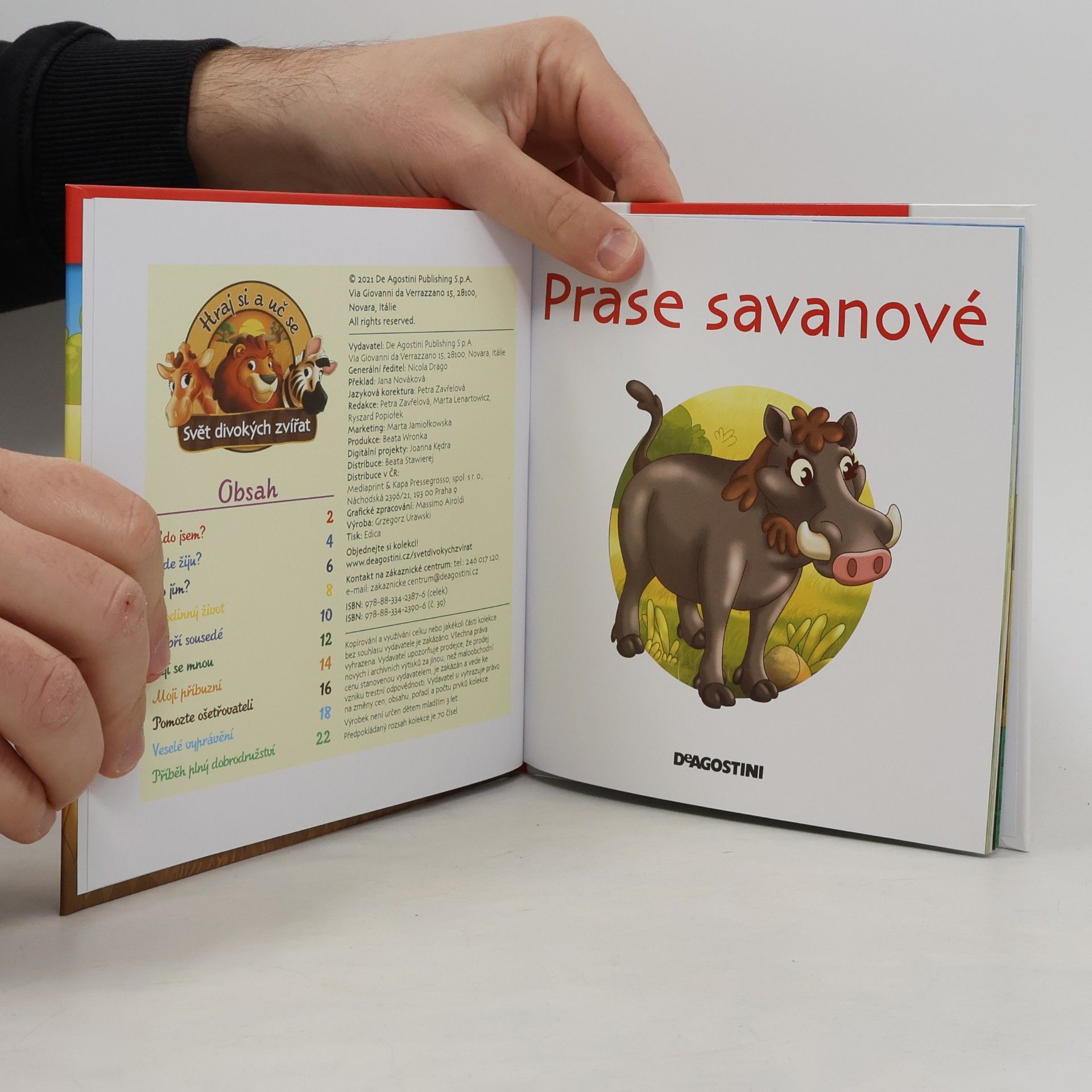 Autorenkollektiv Bydlím v savaně 39. Prase savanové