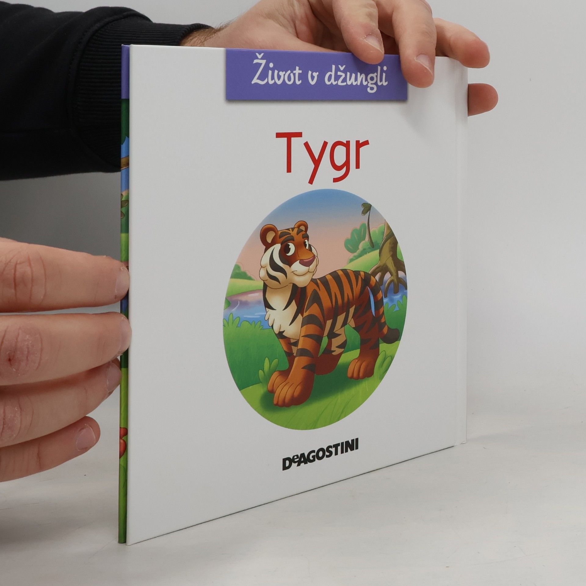 Autorenkollektiv Tygr