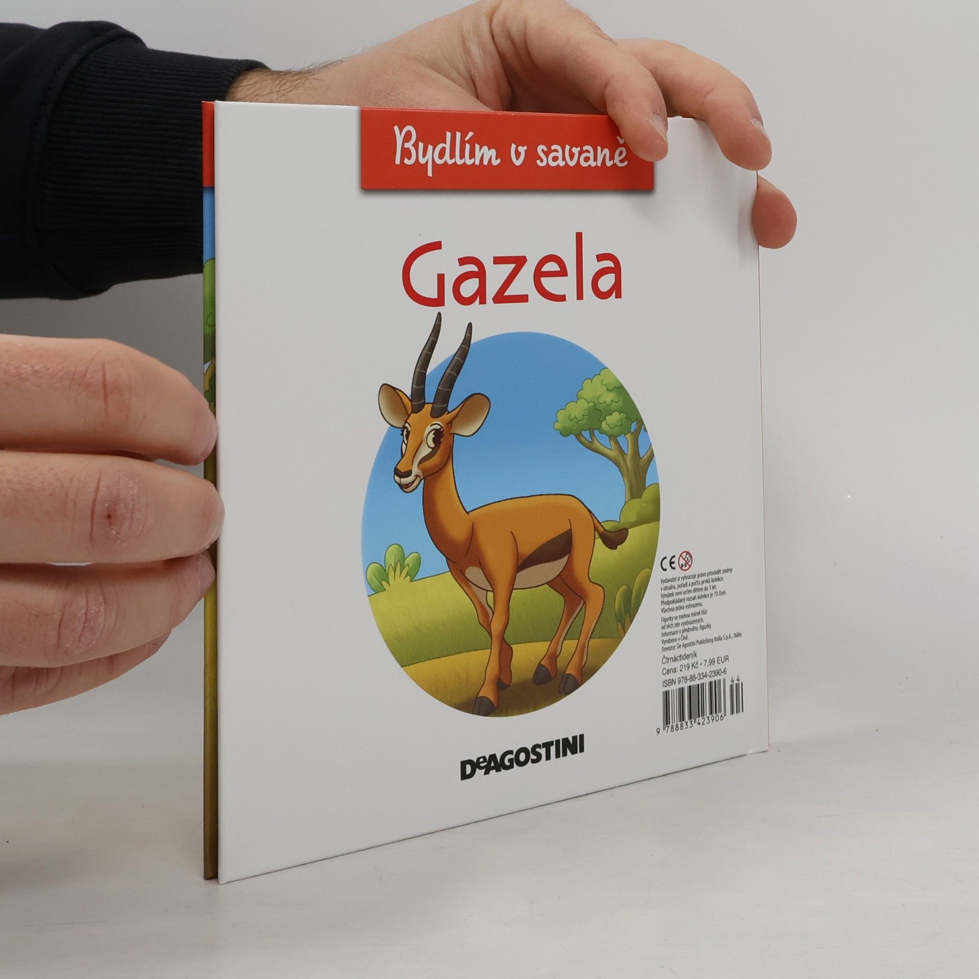 Autorenkollektiv Bydlím v savaně 6. Gazela