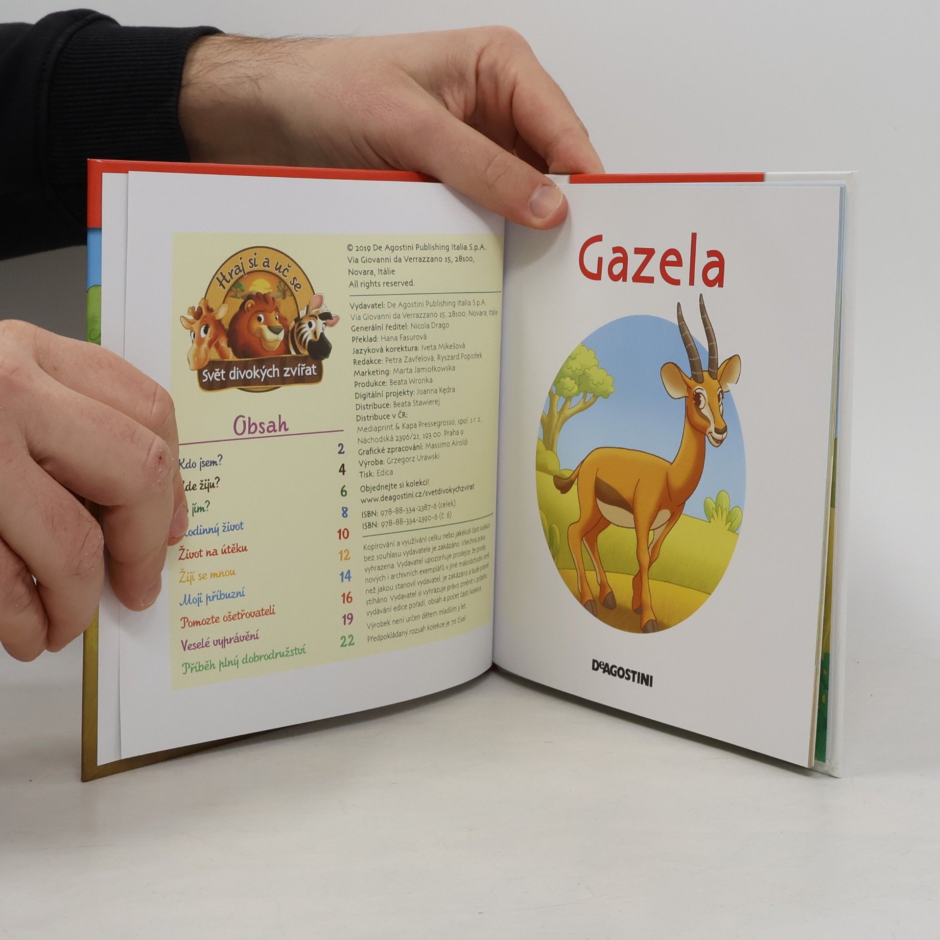 Autorenkollektiv Bydlím v savaně 6. Gazela