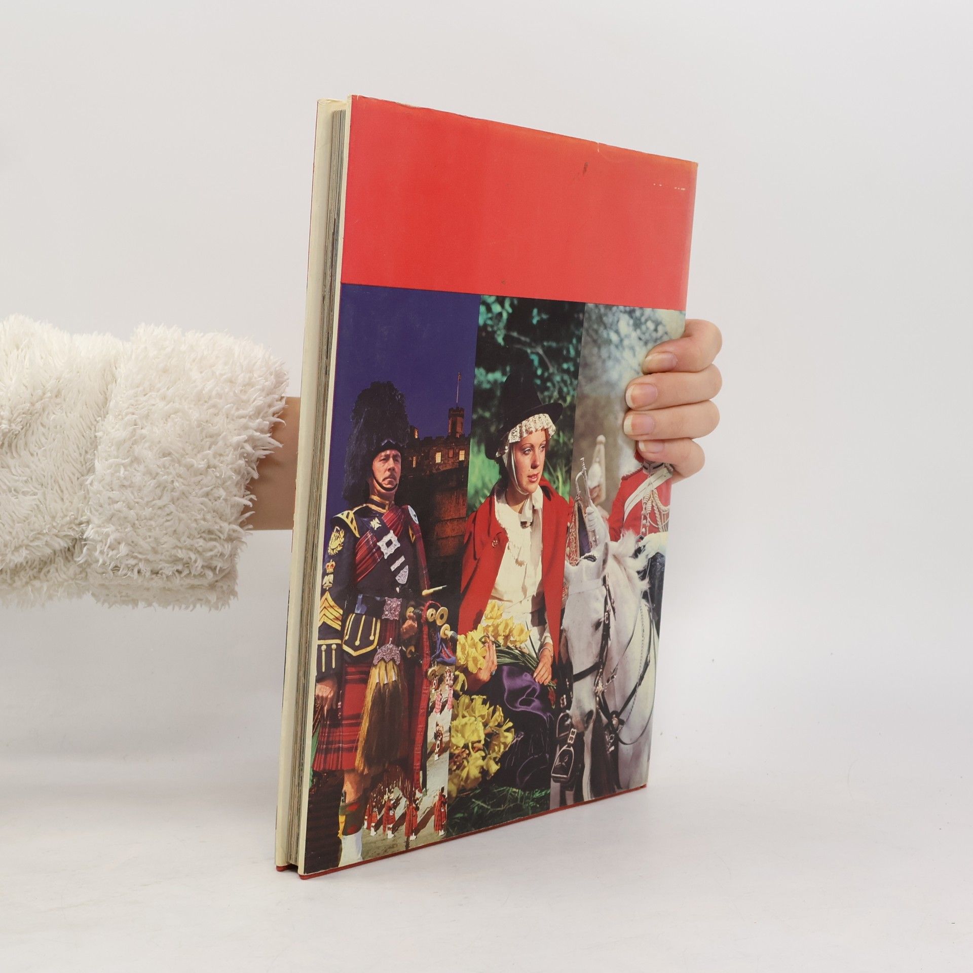 Ted Smart Britain, A Picture Book To Remember Her By