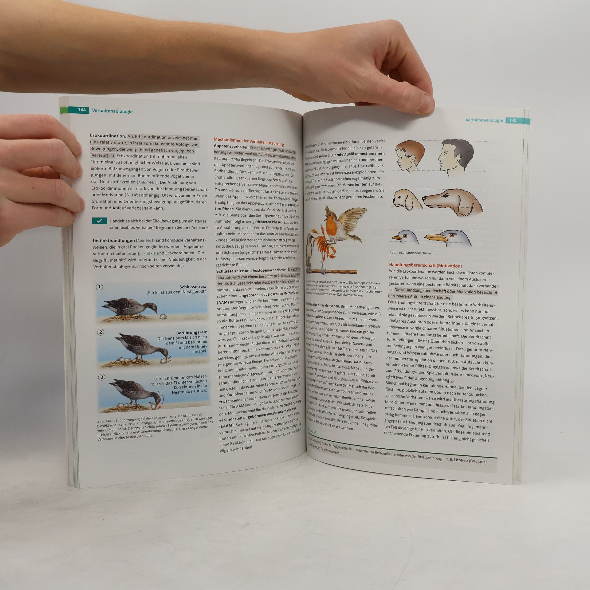 Autorenkollektiv Linder Biologie 6