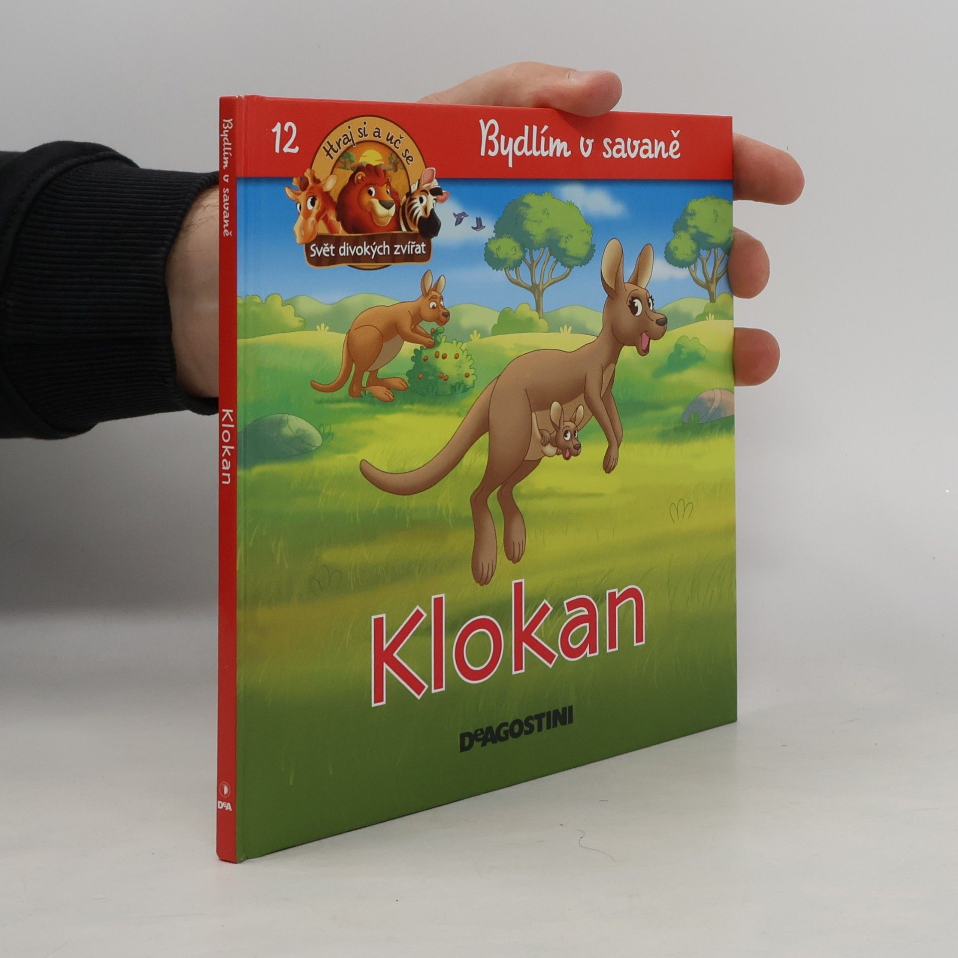 Kolektiv autorů Bydlím v savaně 12. Klokan
