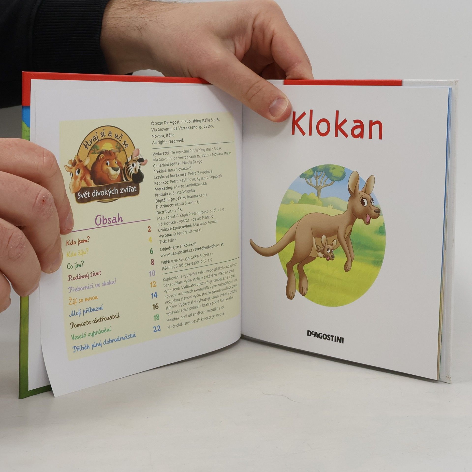 Kolektiv autorů Bydlím v savaně 12. Klokan