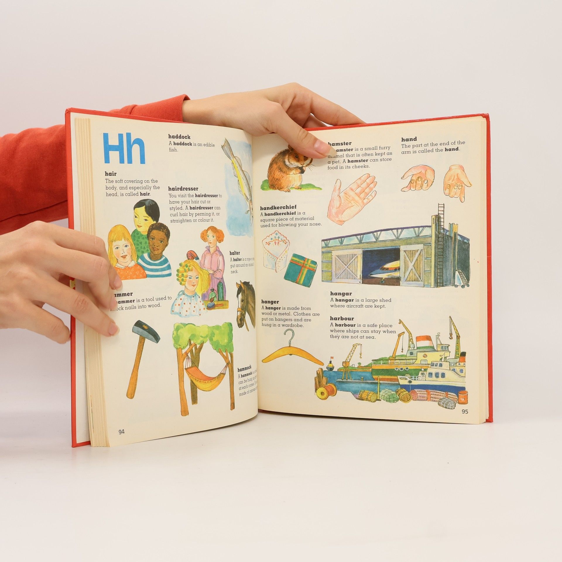 Various authors Children's Picture Dictionary