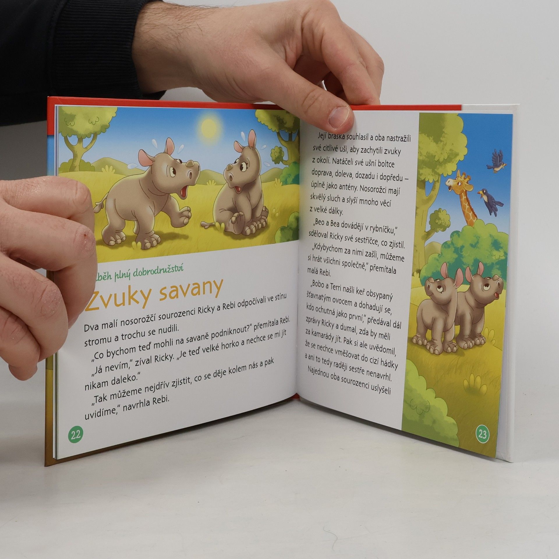 Autorenkollektiv Bydlím v savaně 17. Nosorožec