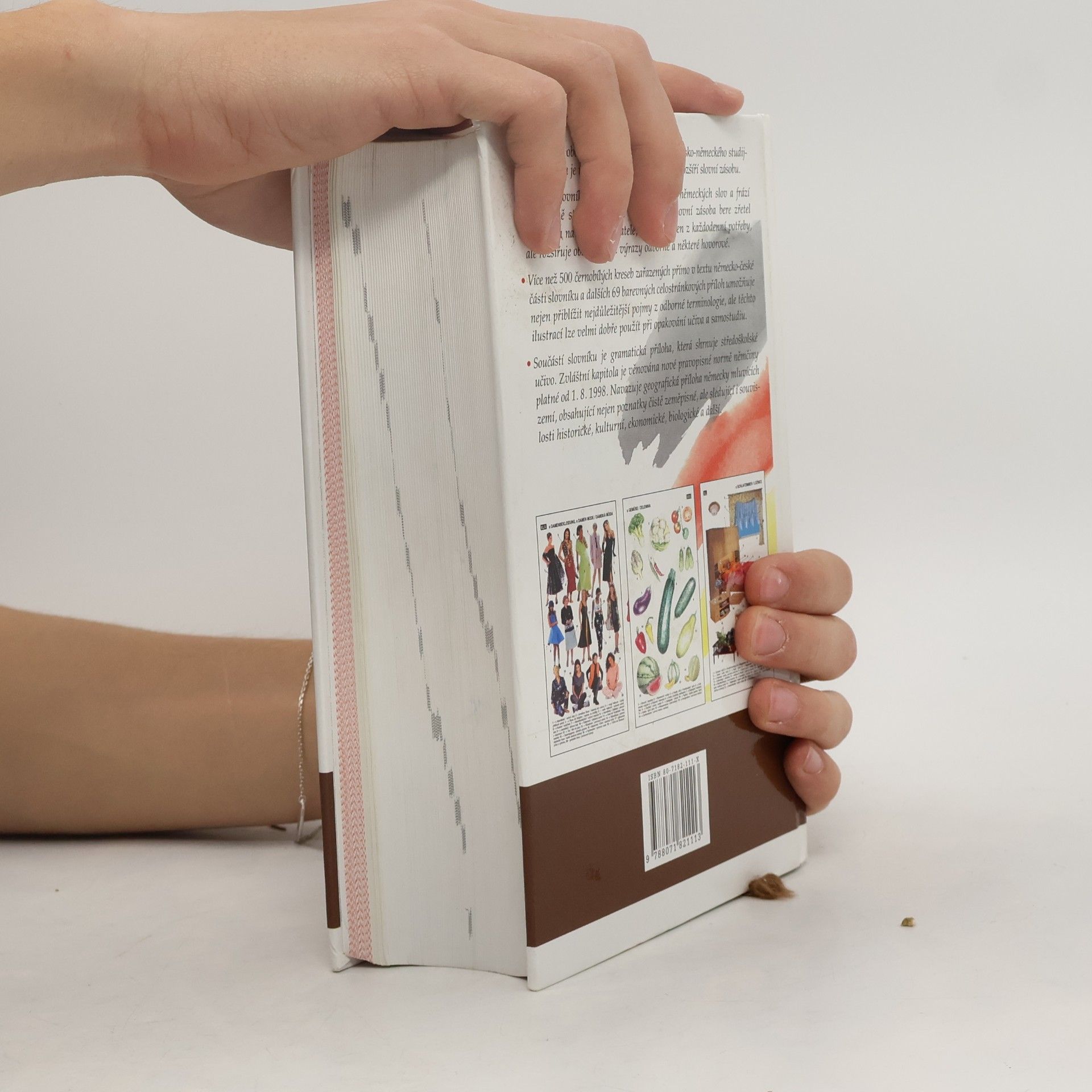 Autorenkollektiv Německo-český, česko-německý studijní slovník