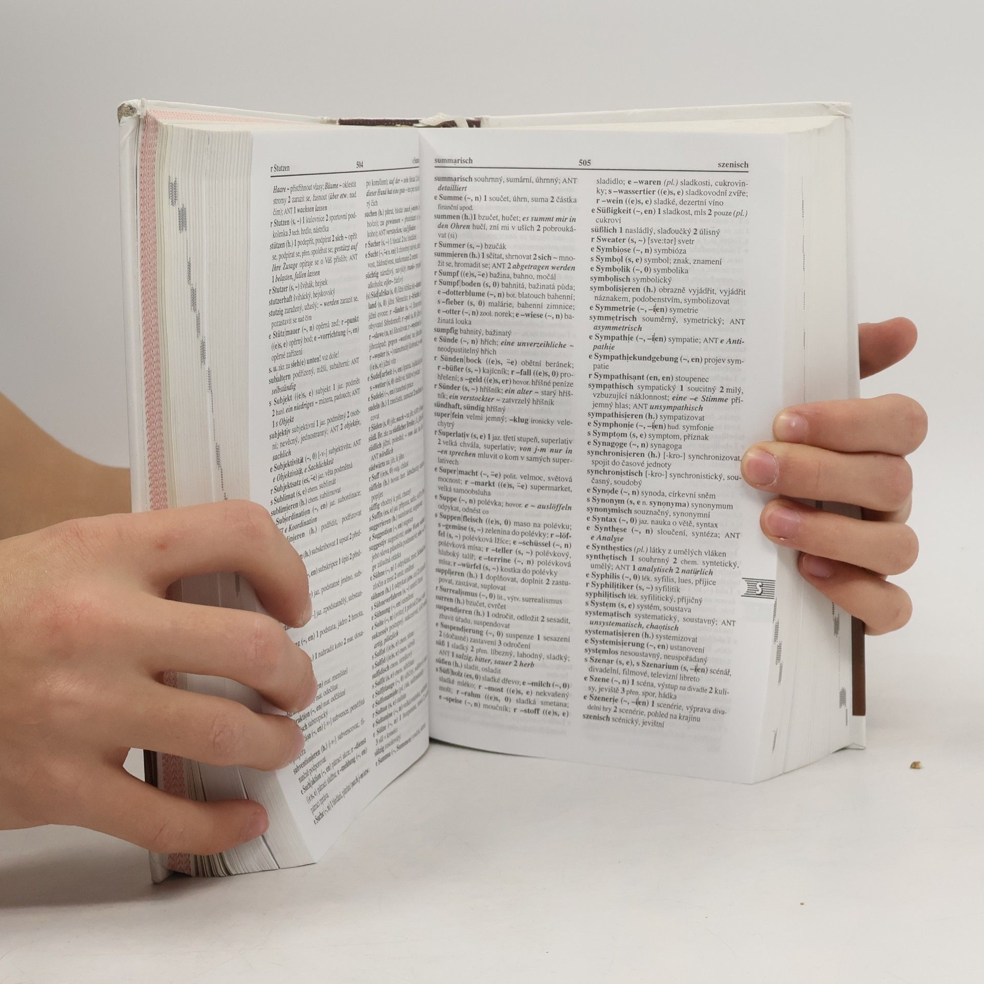Autorenkollektiv Německo-český, česko-německý studijní slovník