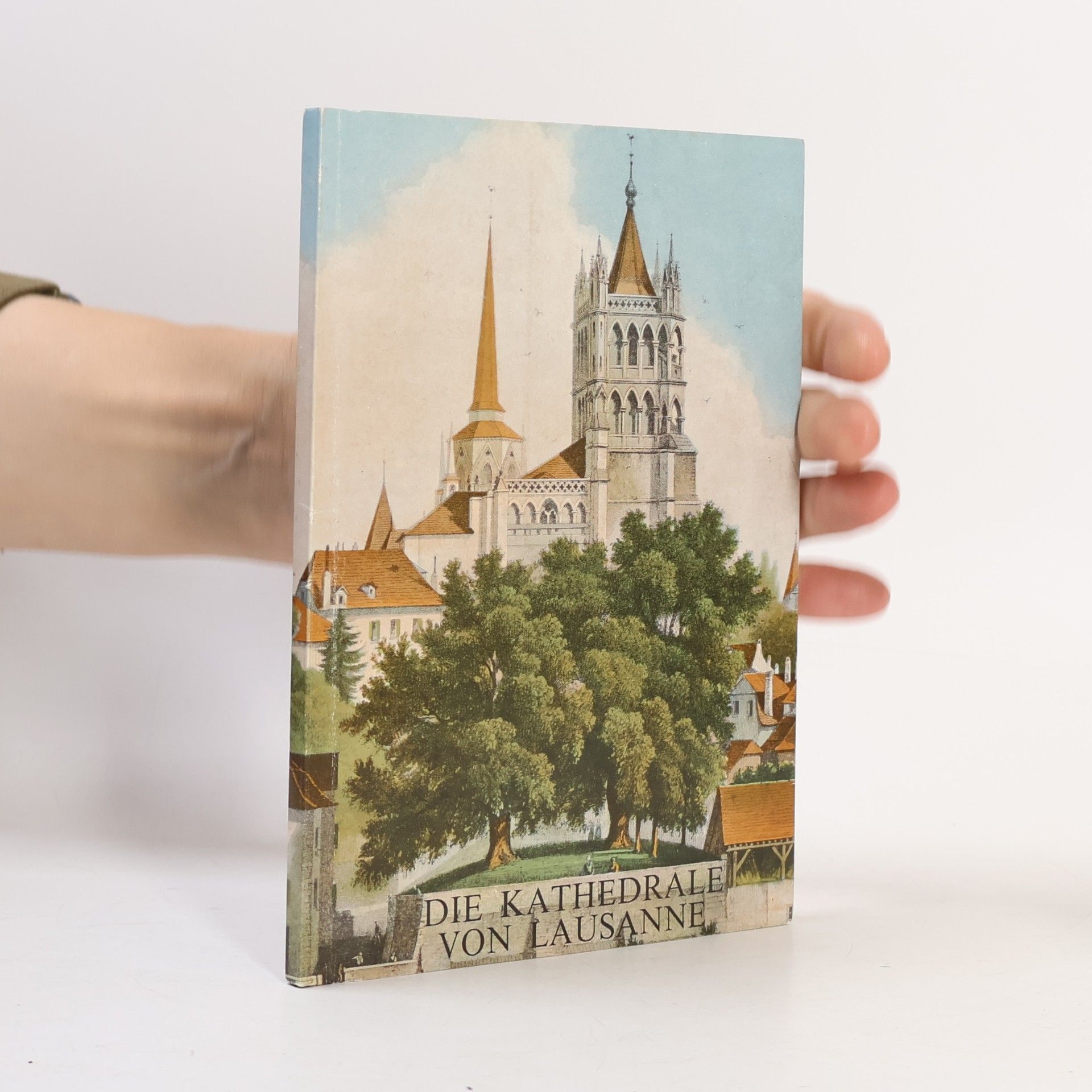 Theodore Roussy Die Kathedrale von Lausanne