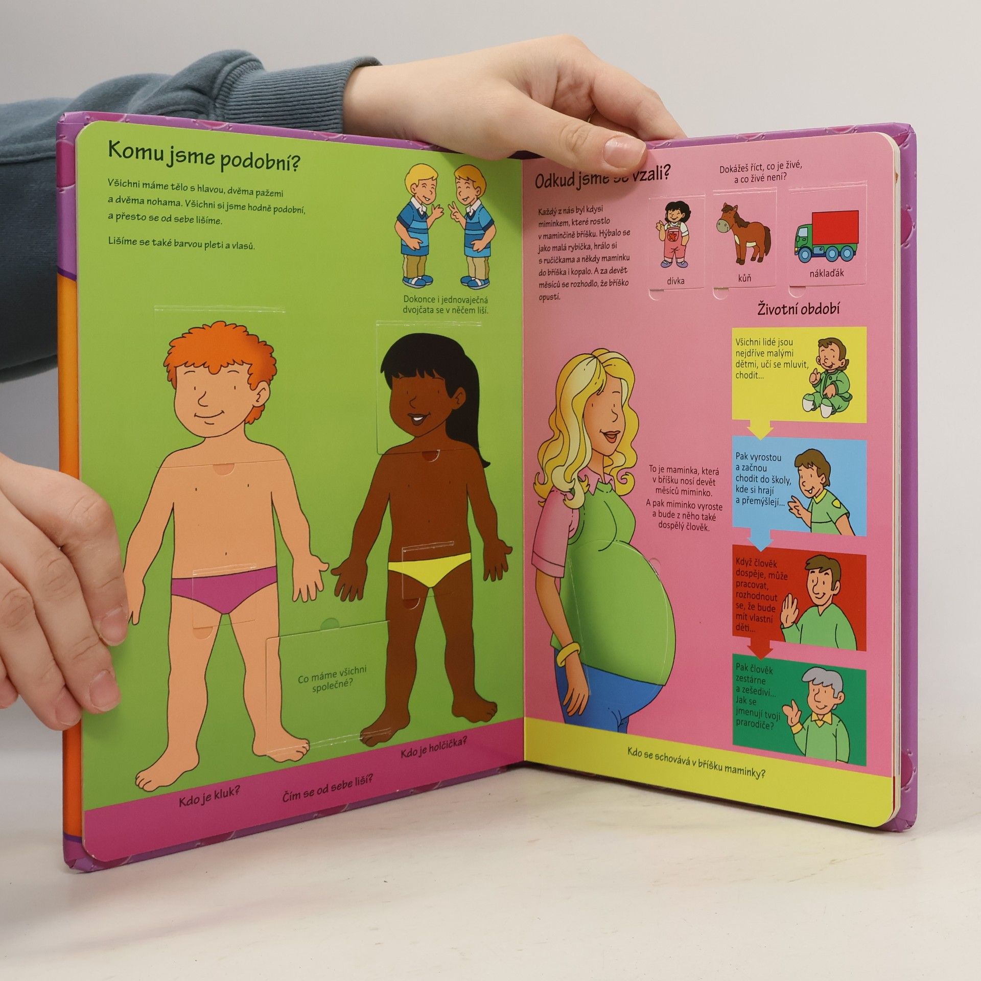 Various authors Lidské tělo – podívej se pod okénko!
