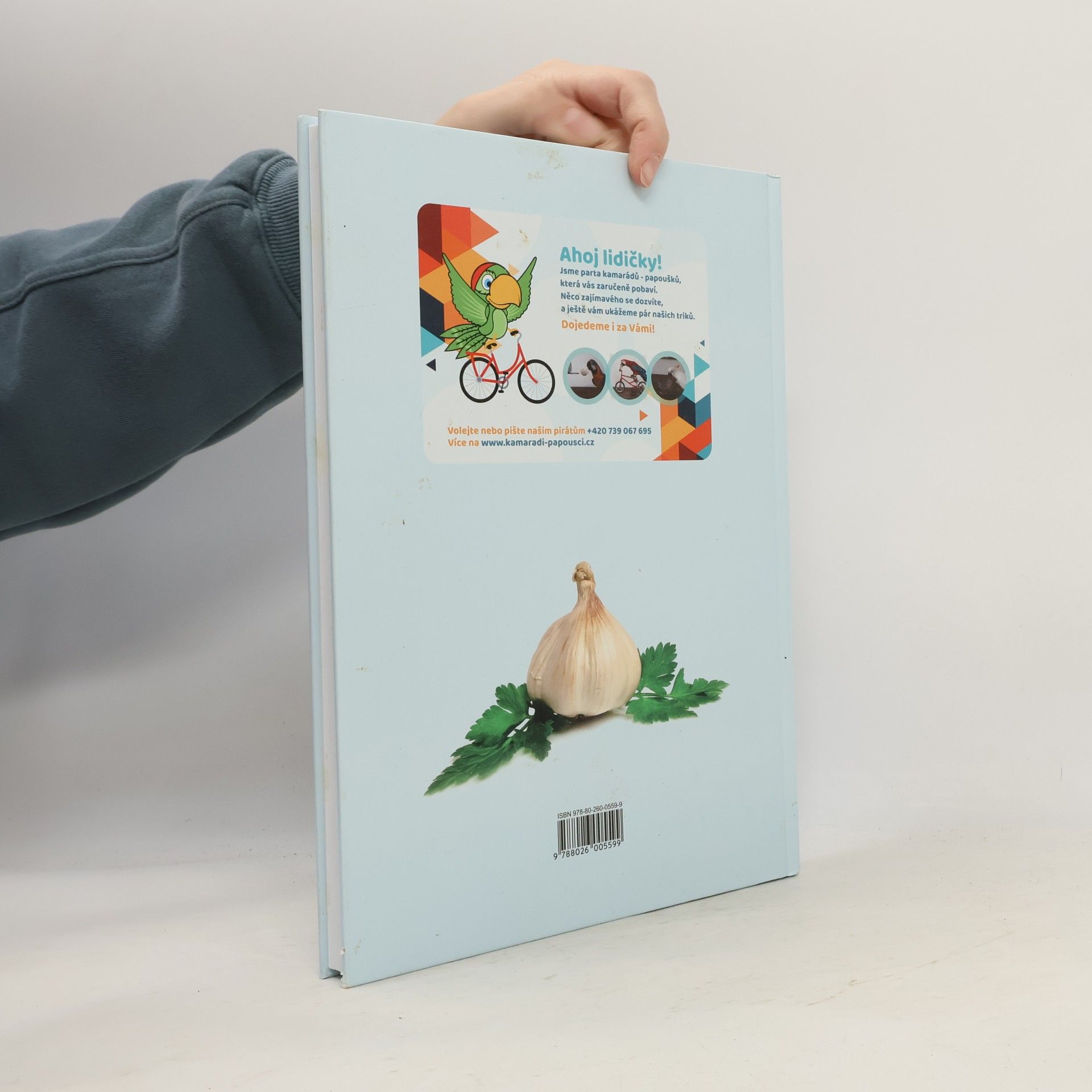 Autorenkollektiv Bylinky a recepty našich babiček