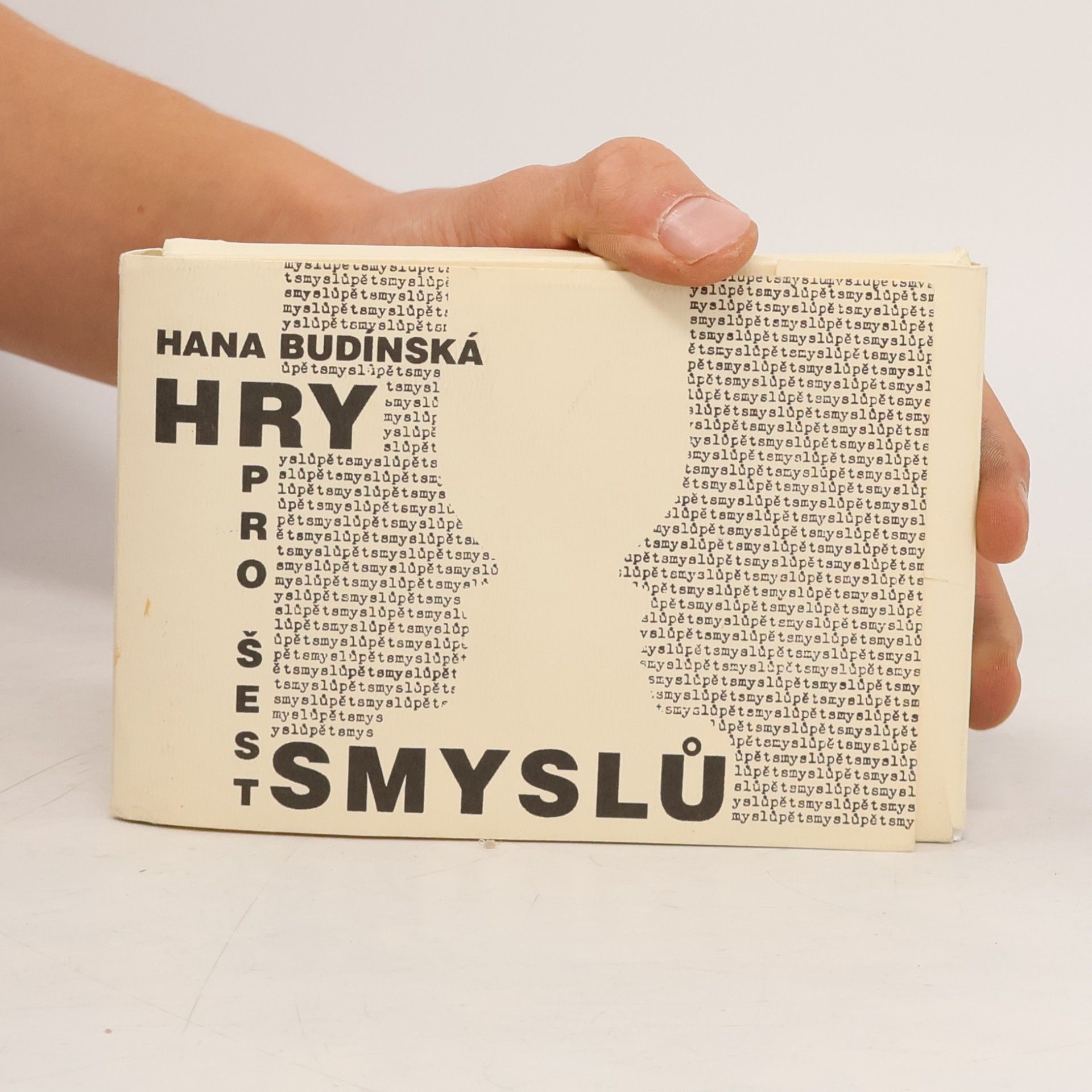 Hana Budínská Hry na detektivy
