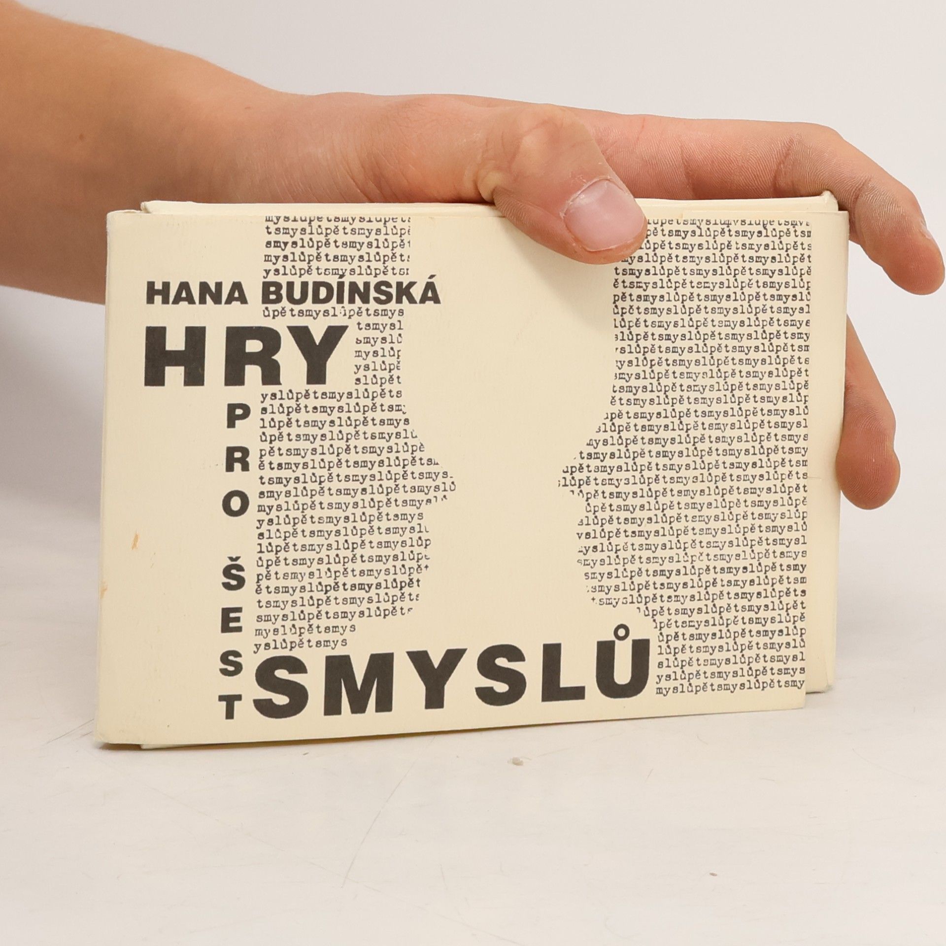 Hana Budínská Hry na detektivy