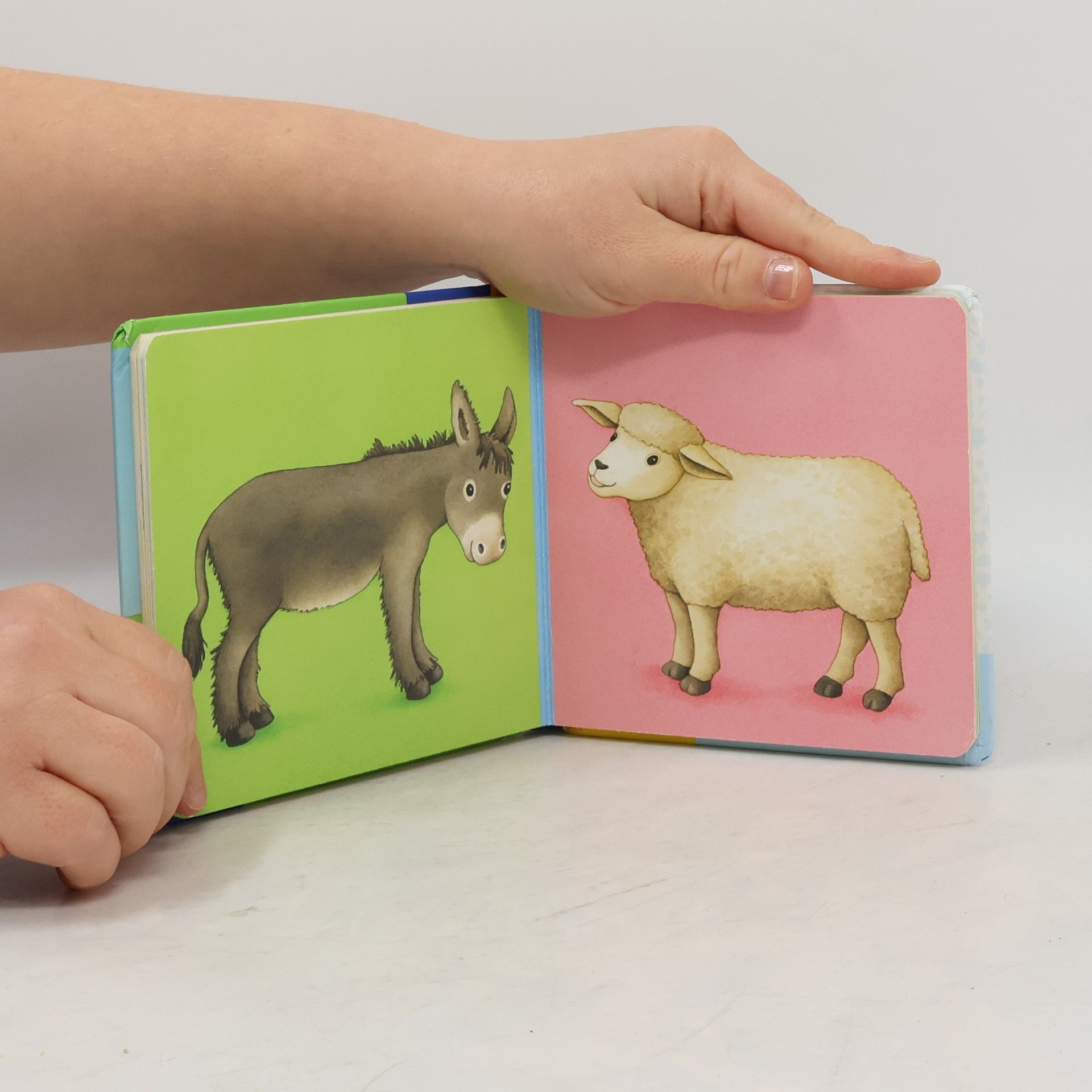 Monika Neubacher Fesser Meine allerersten Tiere