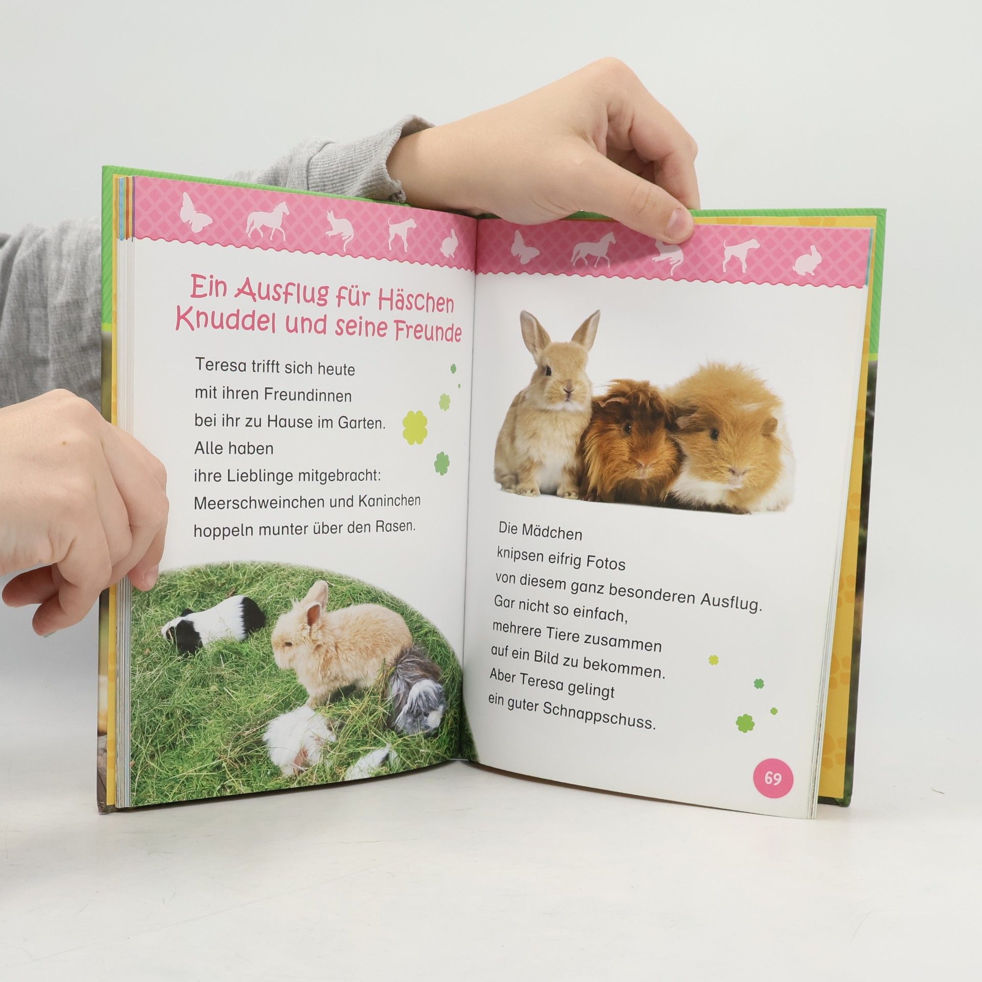 Julia Siegers Die besten Tiergeschichten für Erstleser