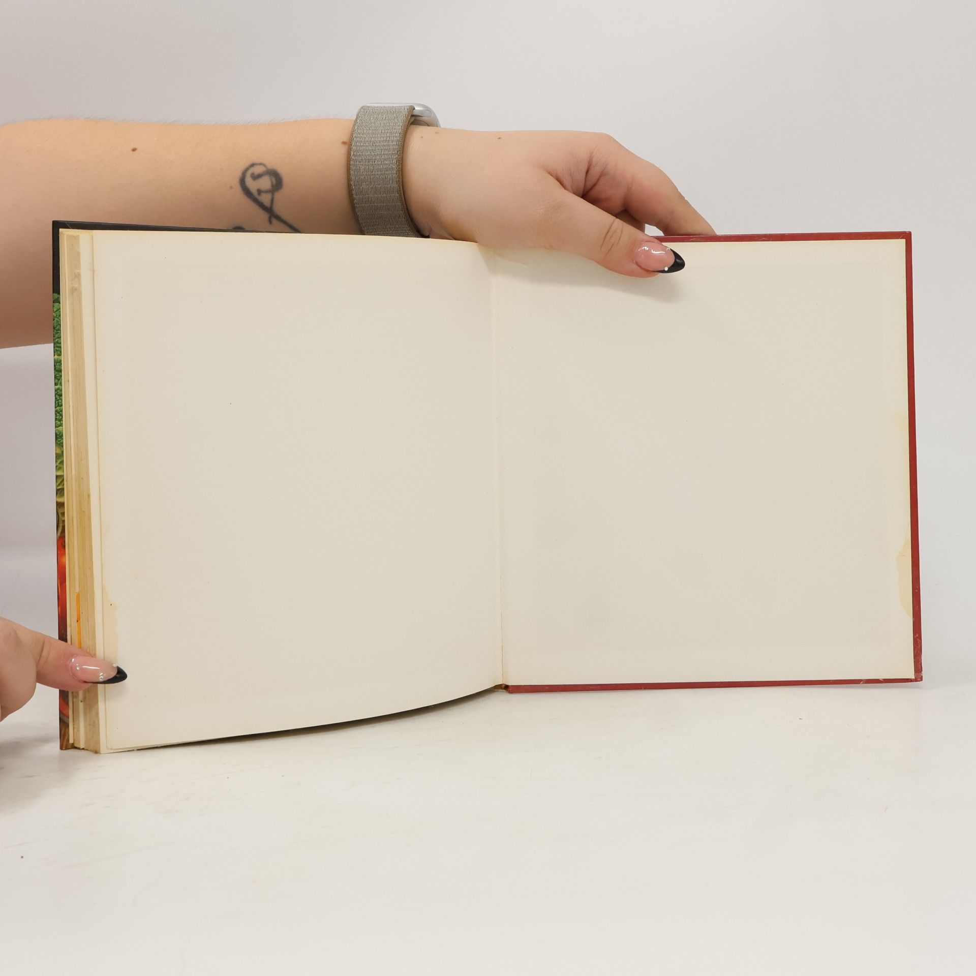 Autorenkollektiv Weck-Einkochbuch