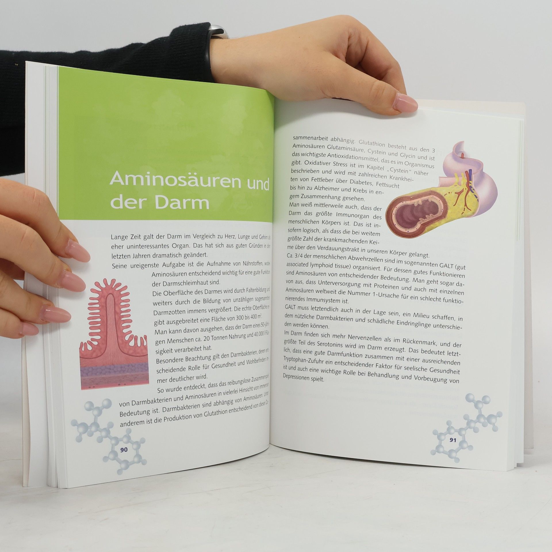 Dr. med. Ingrid Spona Vitalquelle Aminosäuren - 2. Auflage