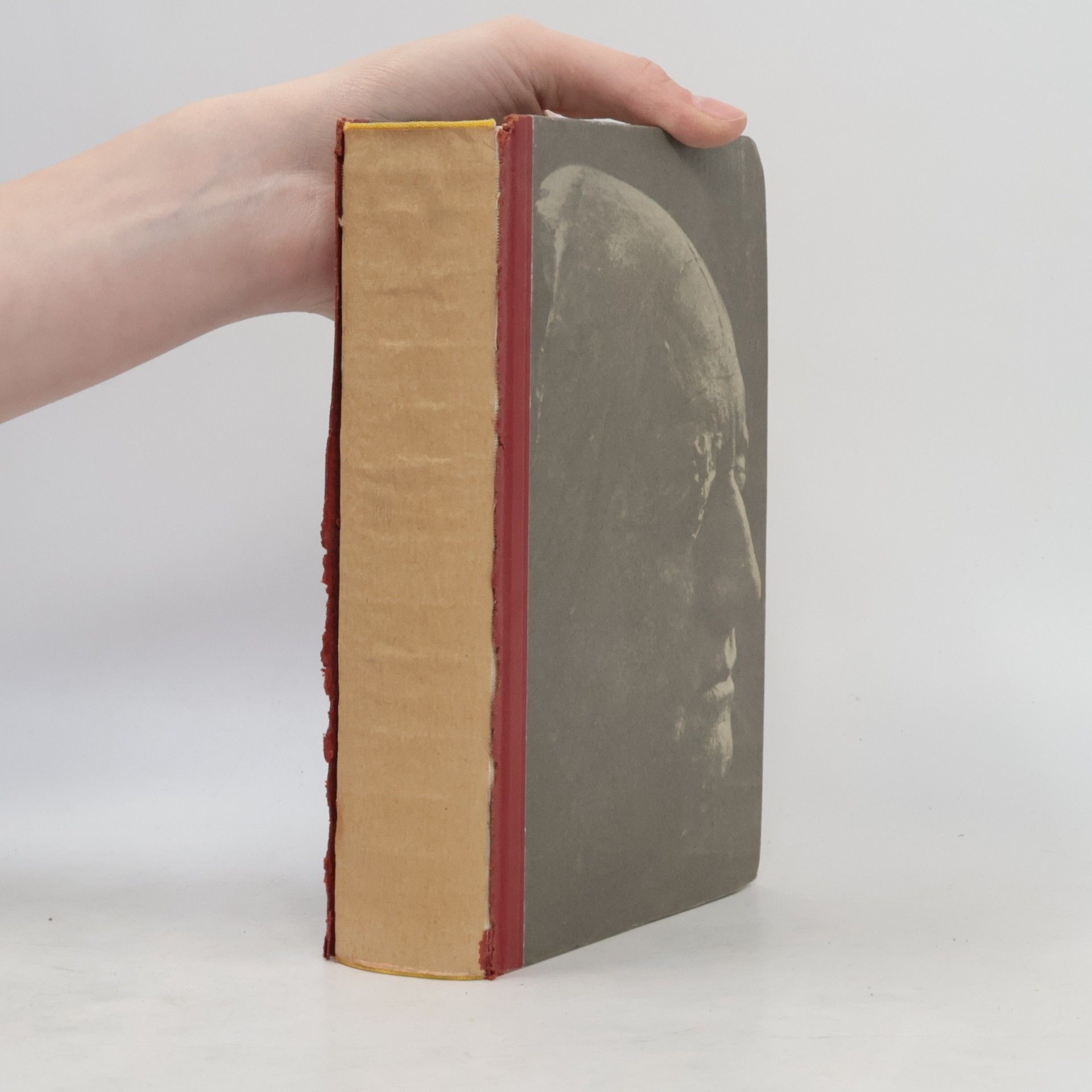 Goethe. Geschichte eines Menschen