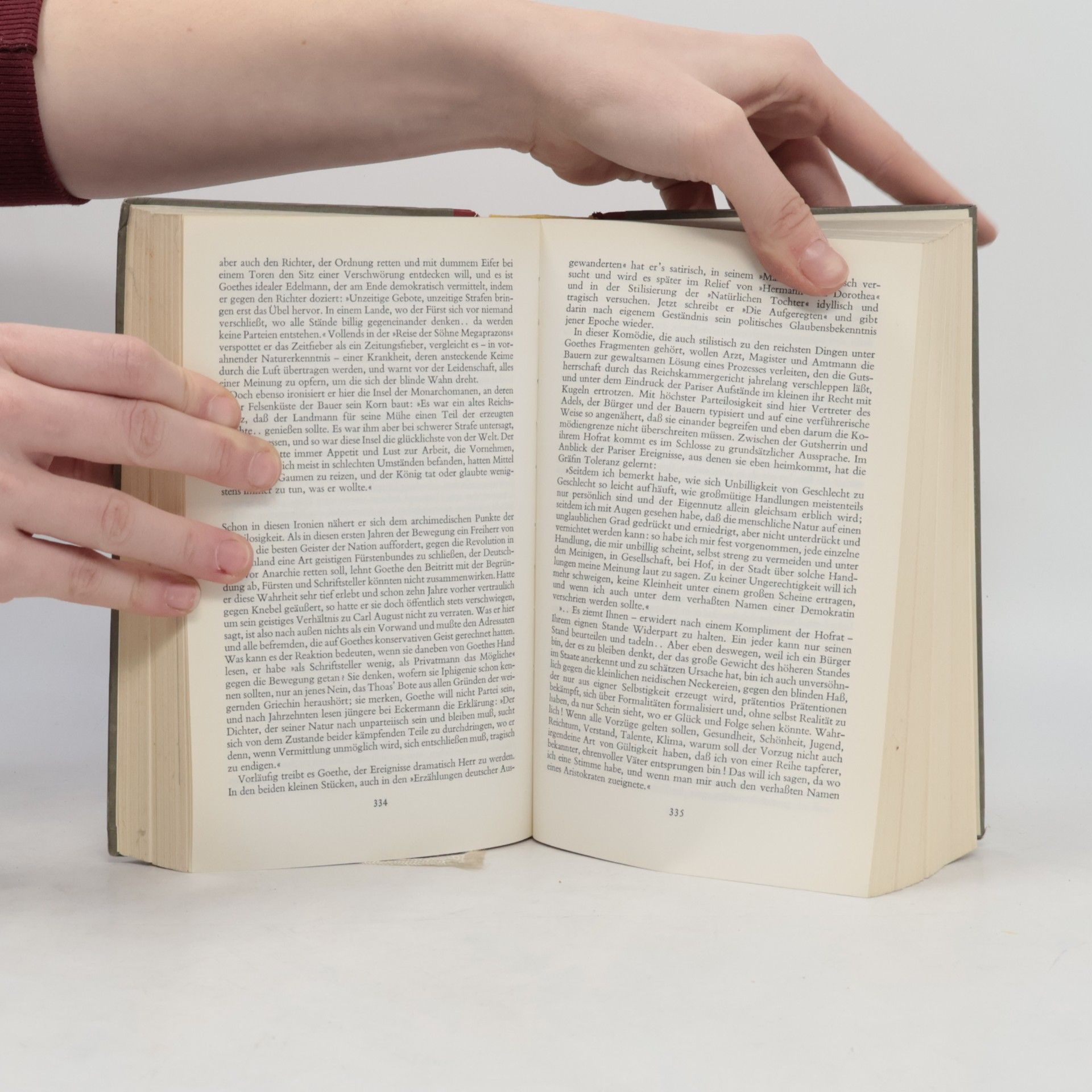 Emil Ludwig Goethe. Geschichte eines Menschen