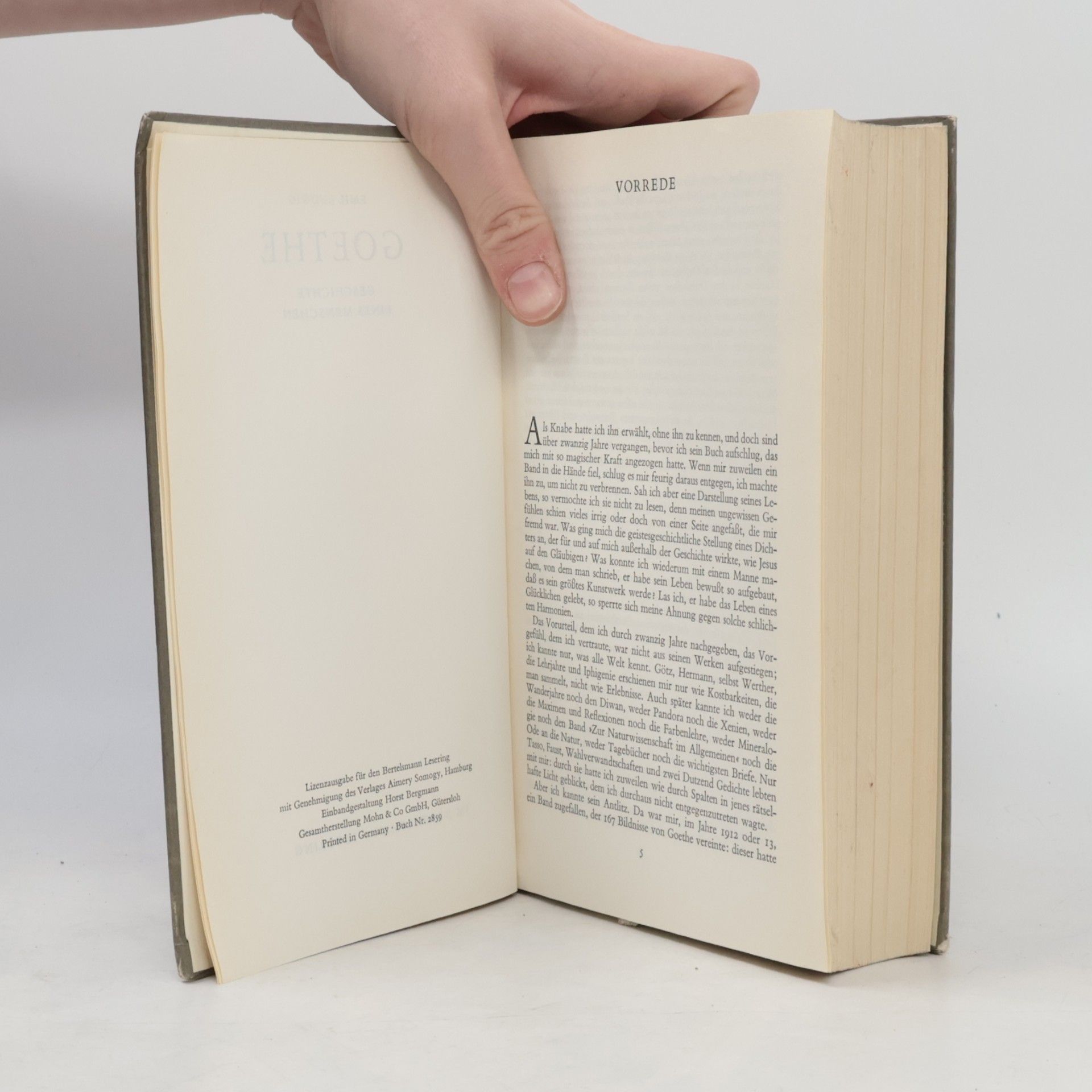 Emil Ludwig Goethe. Geschichte eines Menschen