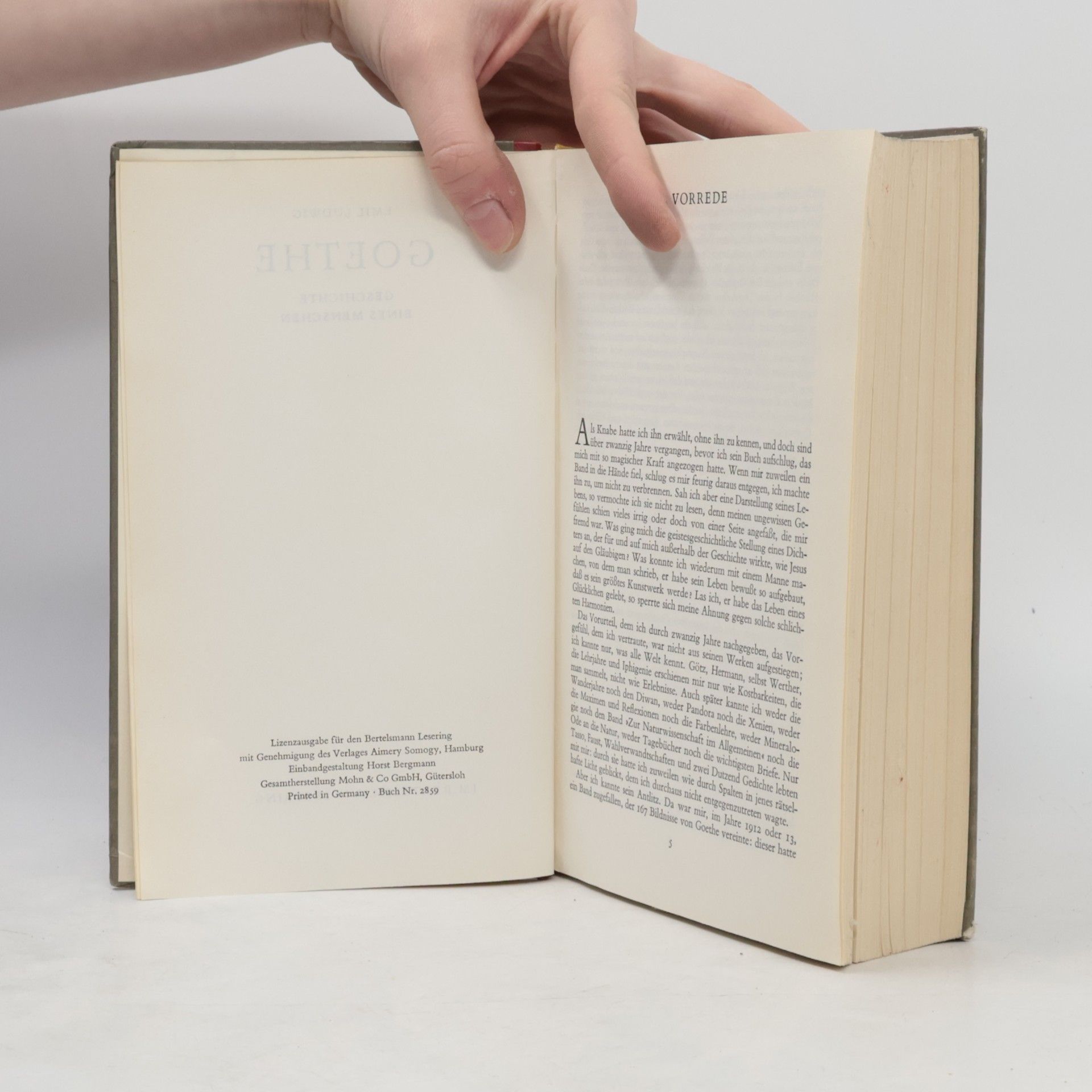 Emil Ludwig Goethe. Geschichte eines Menschen