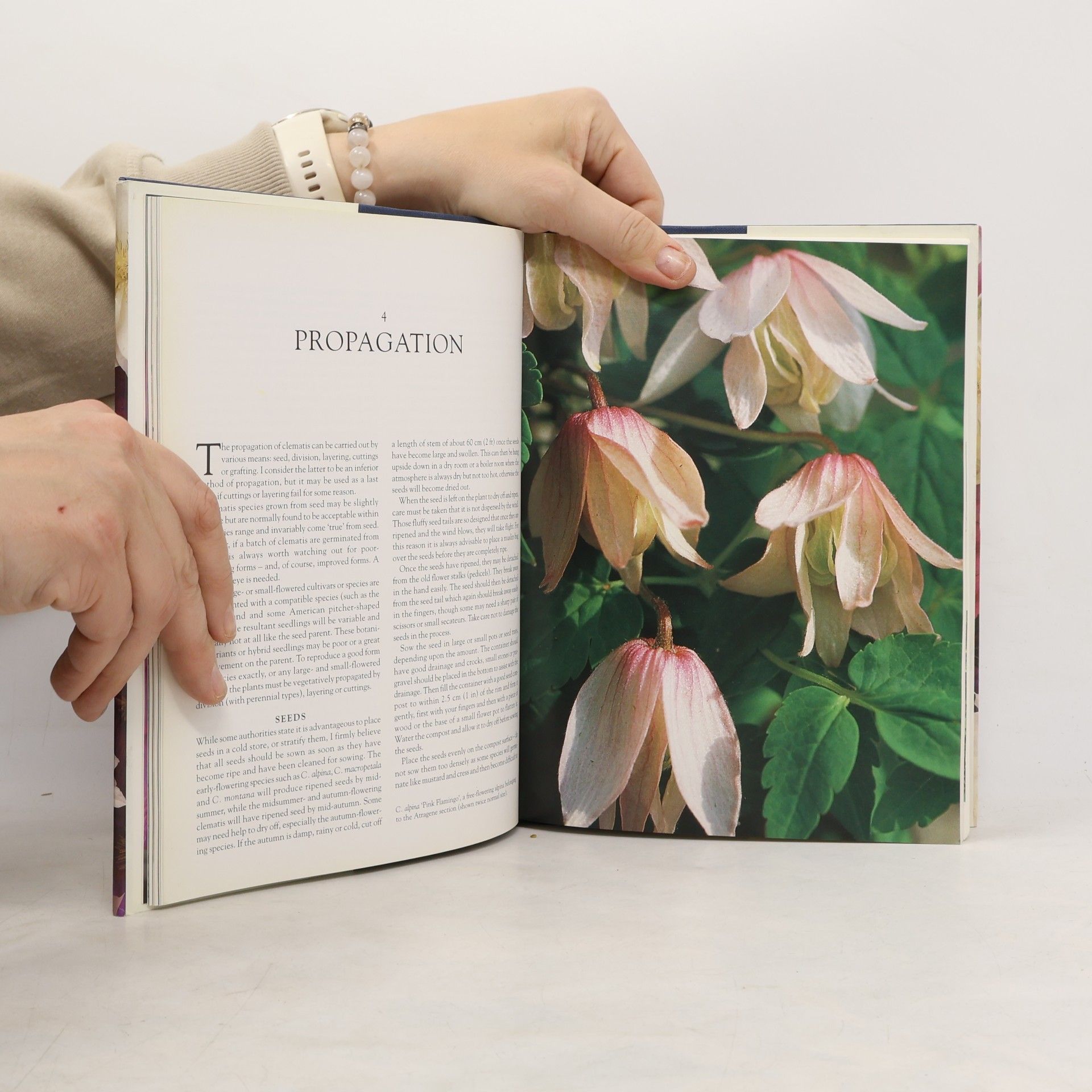 Raymond J. Evison The Gardener's Guide to Growing Clematis