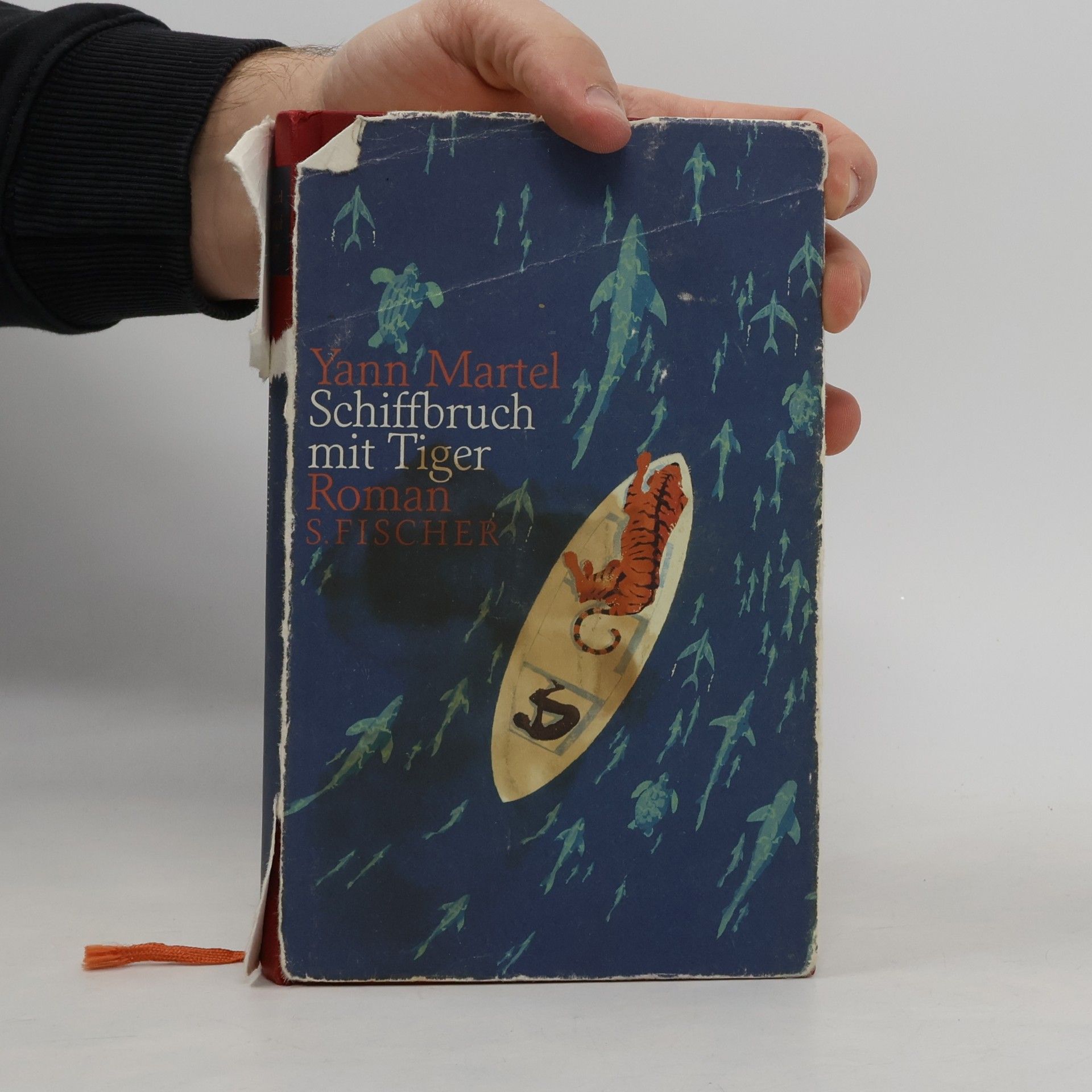 Yann Martel Schiffbruch mit Tiger
