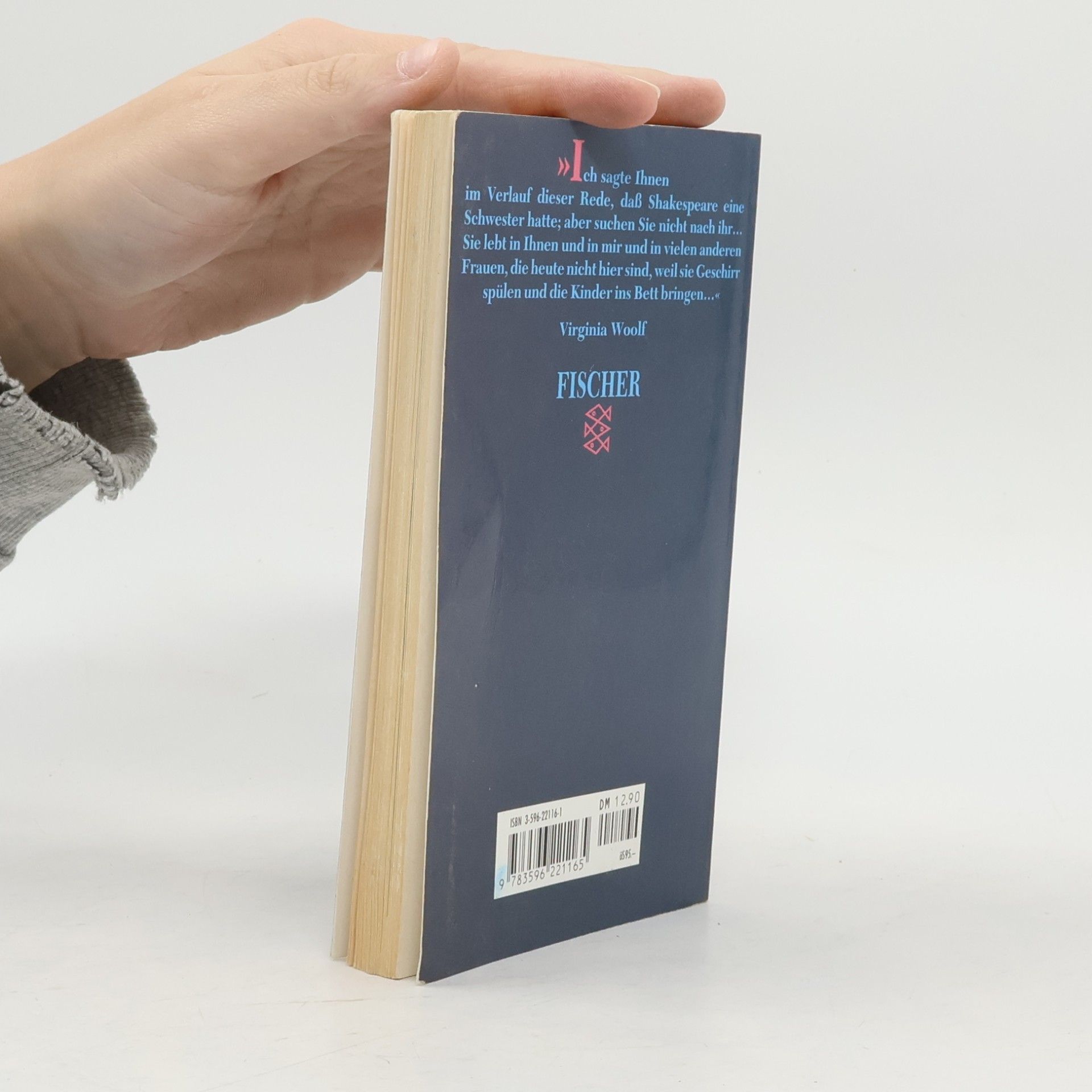 Virginia Woolf Ein Zimmer für sich allein