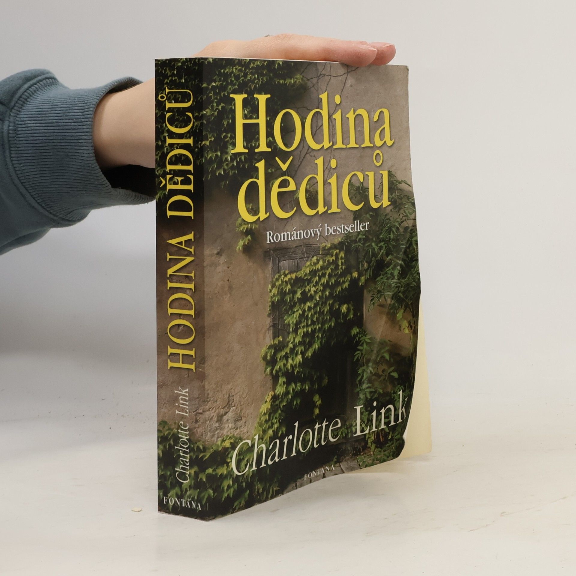 Charlotte Link Hodina dědiců
