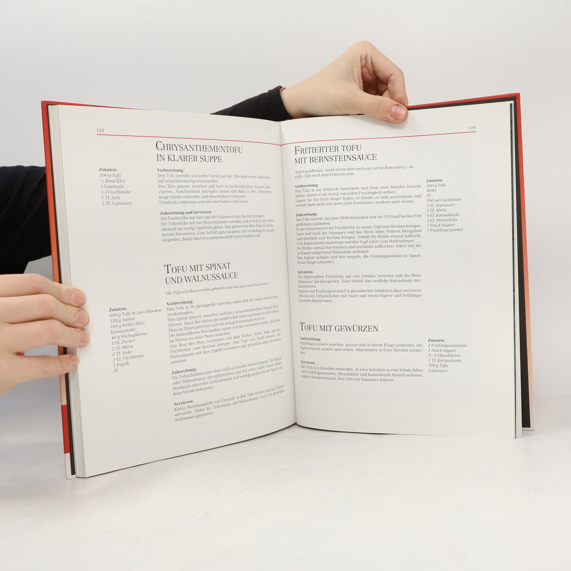 Haruyo Kataoka Das große Japan-Kochbuch