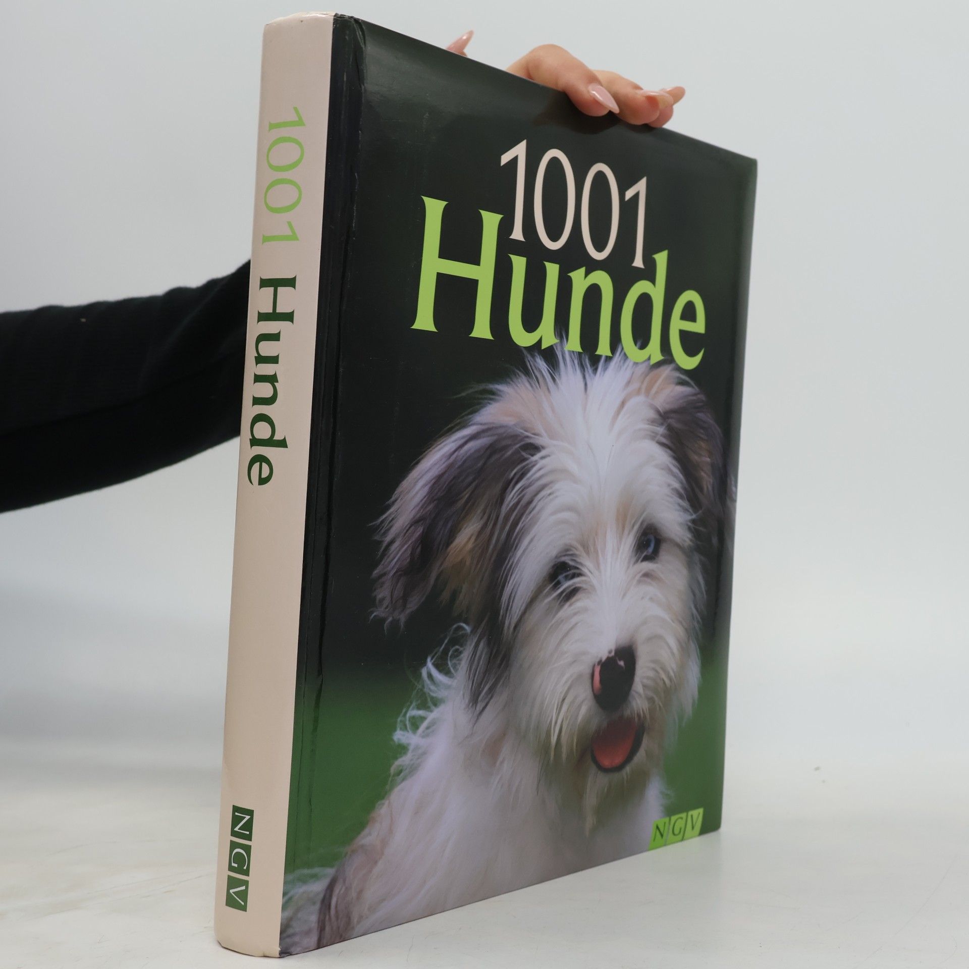 1001 Hunde