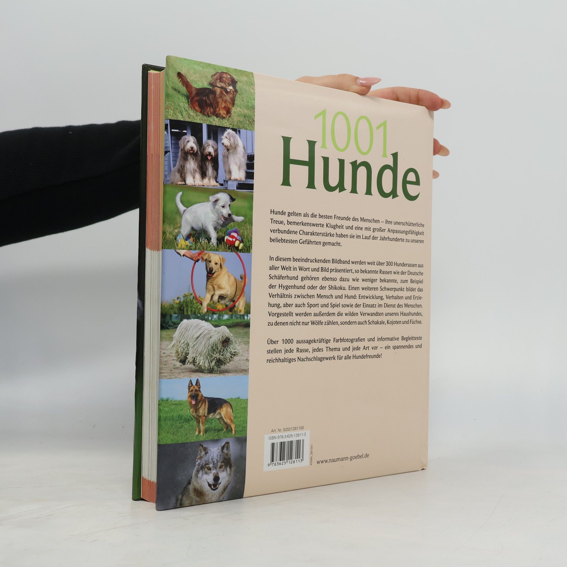 Jennifer Willms 1001 Hunde