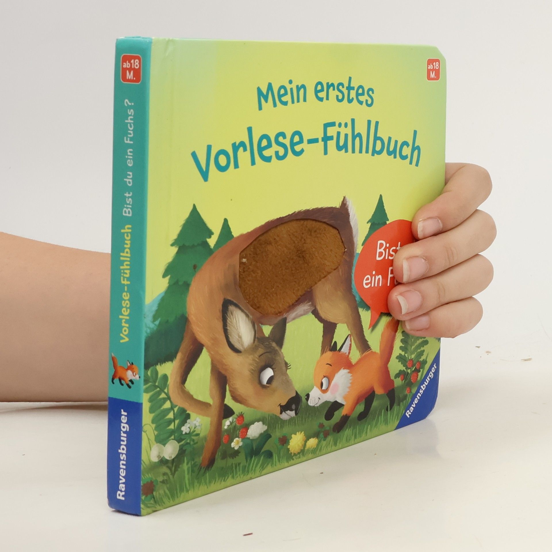 Mein erstes Vorlese-Fühlbuch: Bist du ein Fuchs?