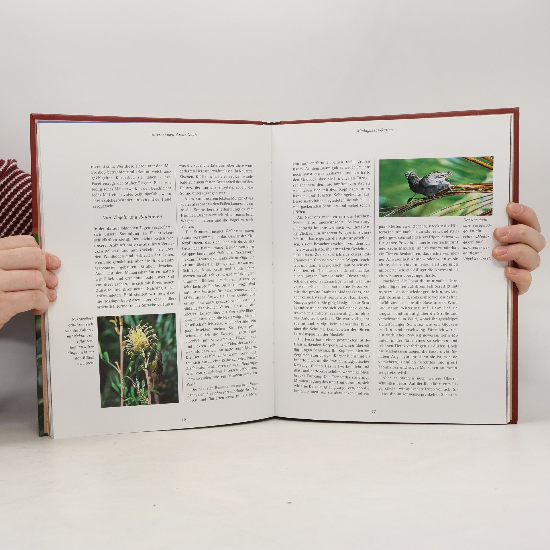 Annegret Diener-Steinherr Naturerlebnis Madagaskar