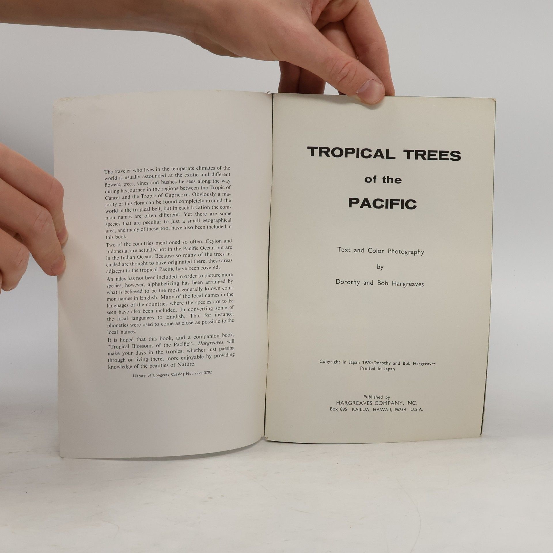 Dorothy Hargreaves Tropical Trees