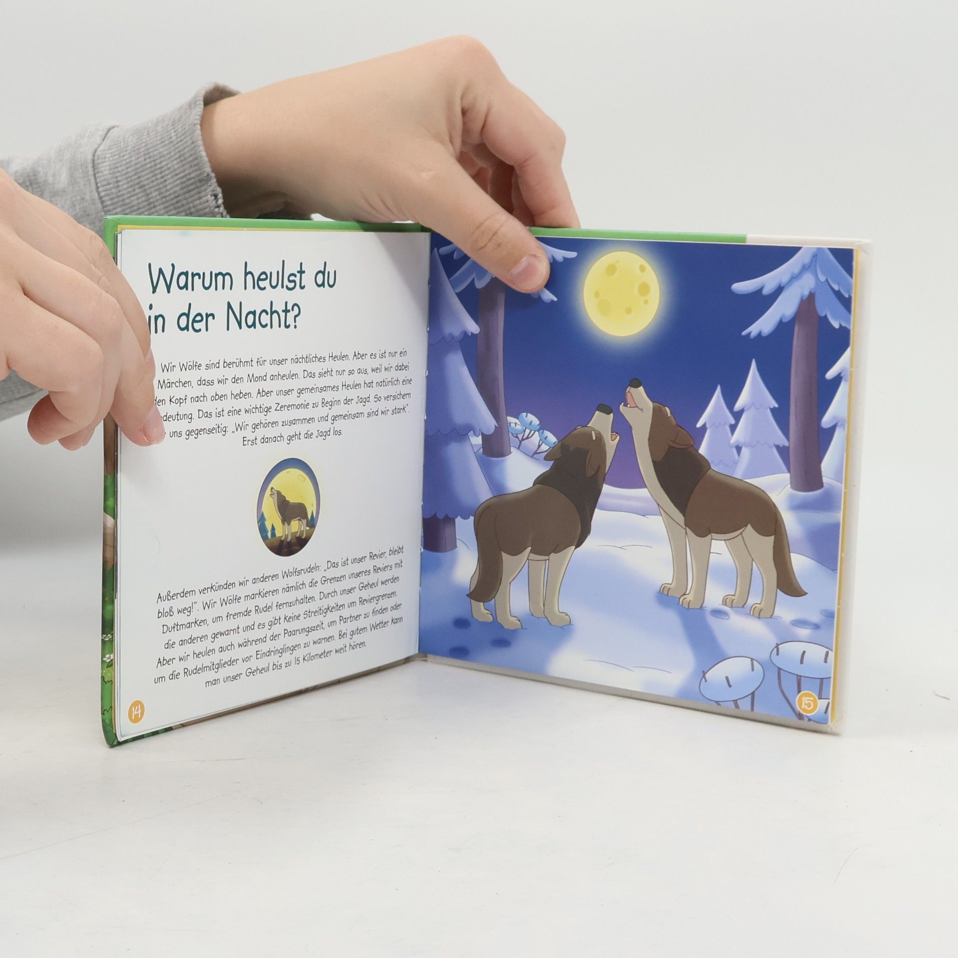 Kolektiv autorů Ich lebe im Wald. Der Wolf