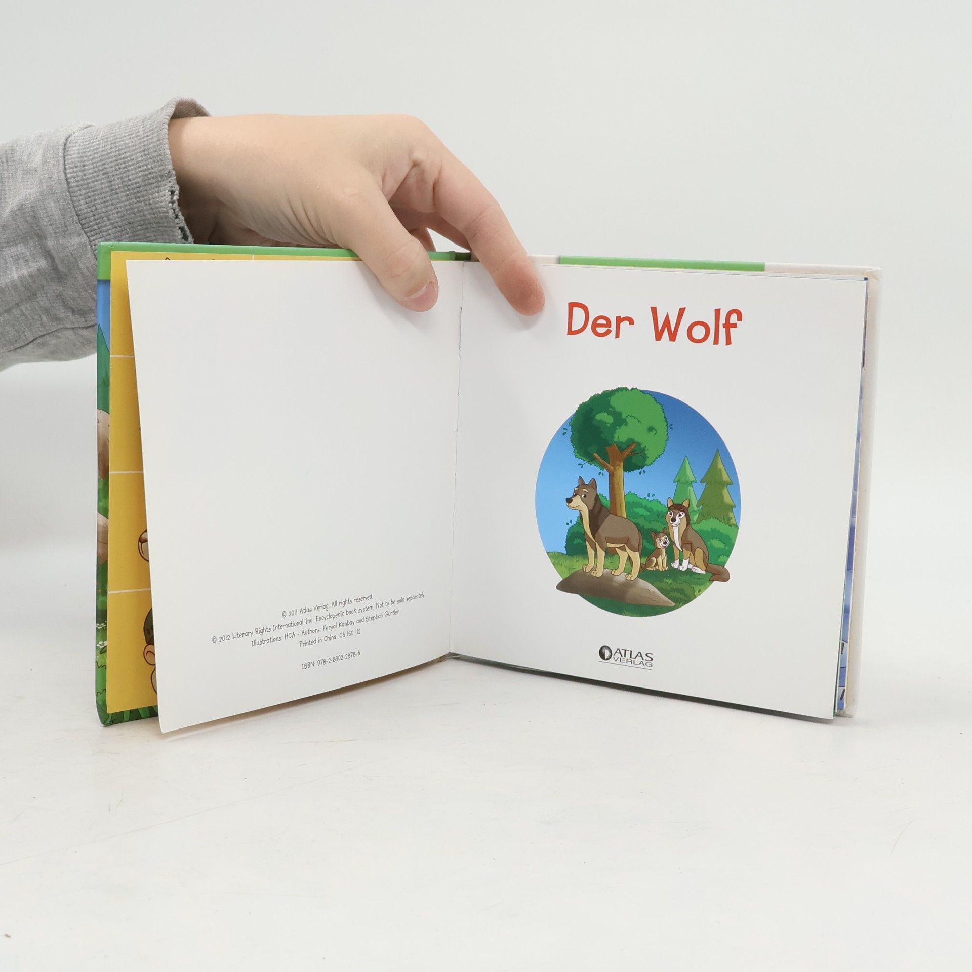 Kolektiv autorů Ich lebe im Wald. Der Wolf