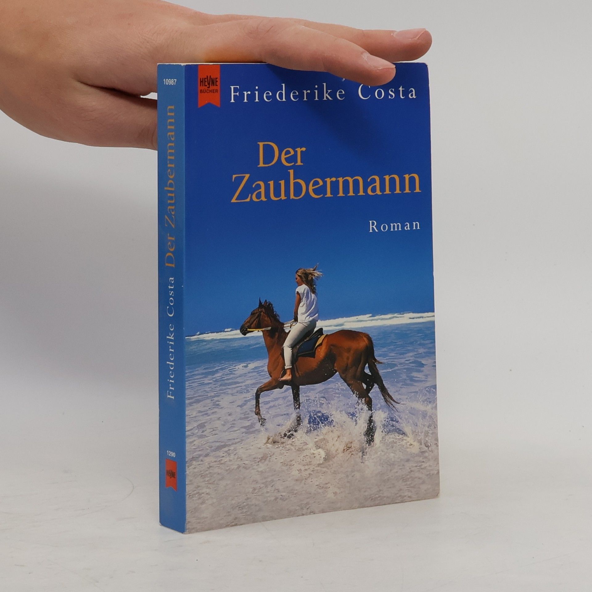 Der Zaubermann. Roman