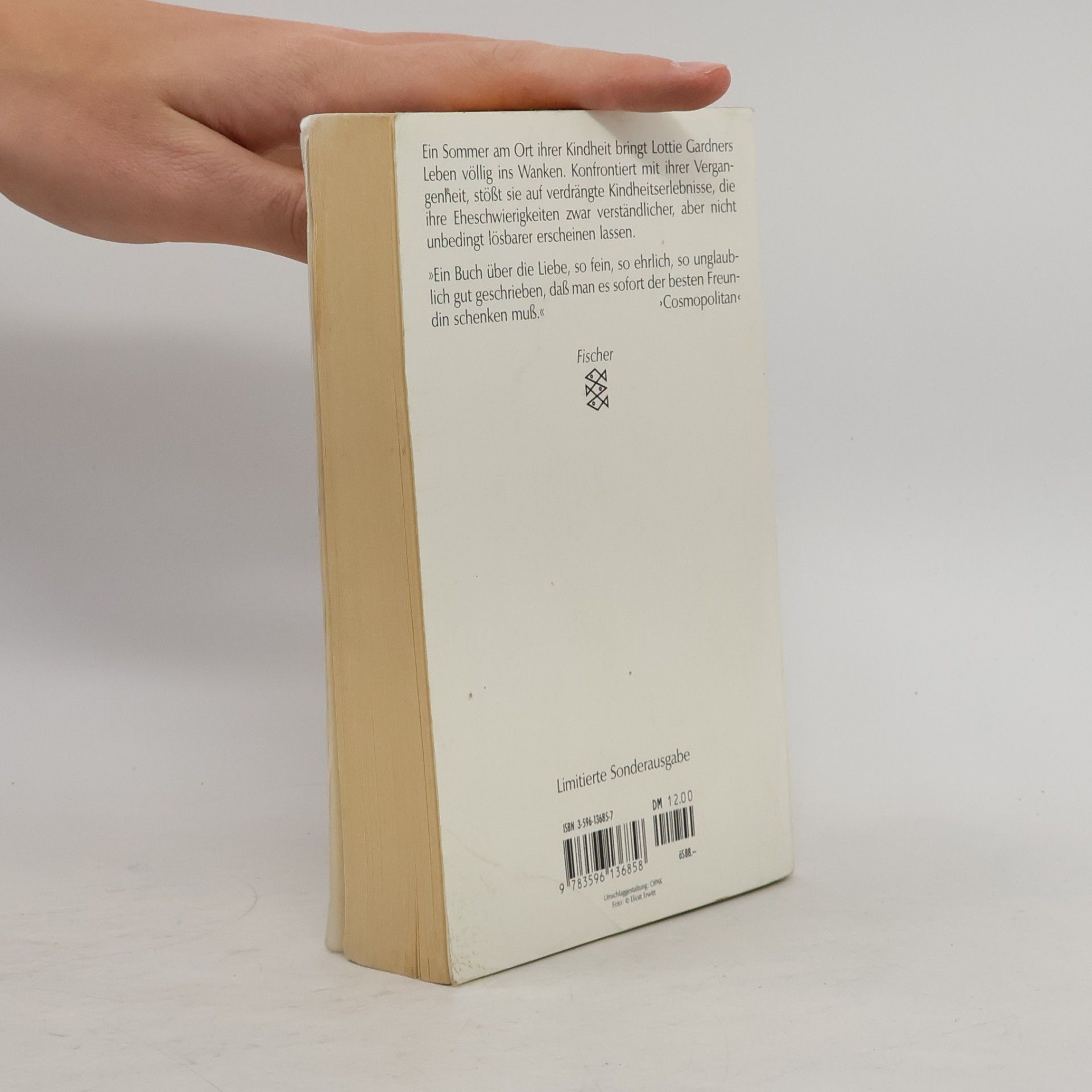 Sue Miller Das Ende des Sommers