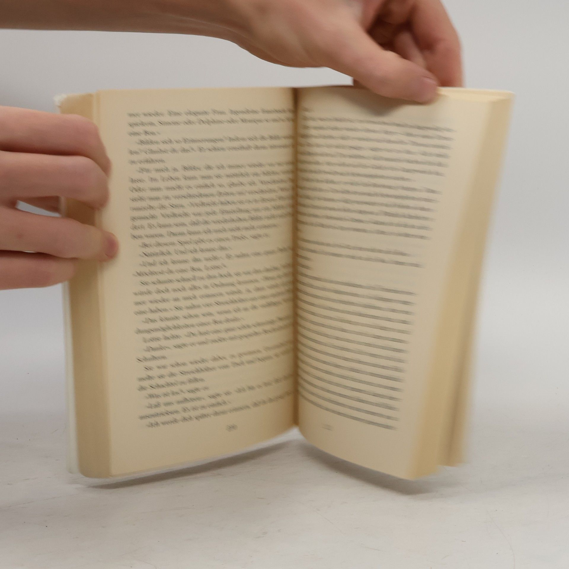 Sue Miller Das Ende des Sommers