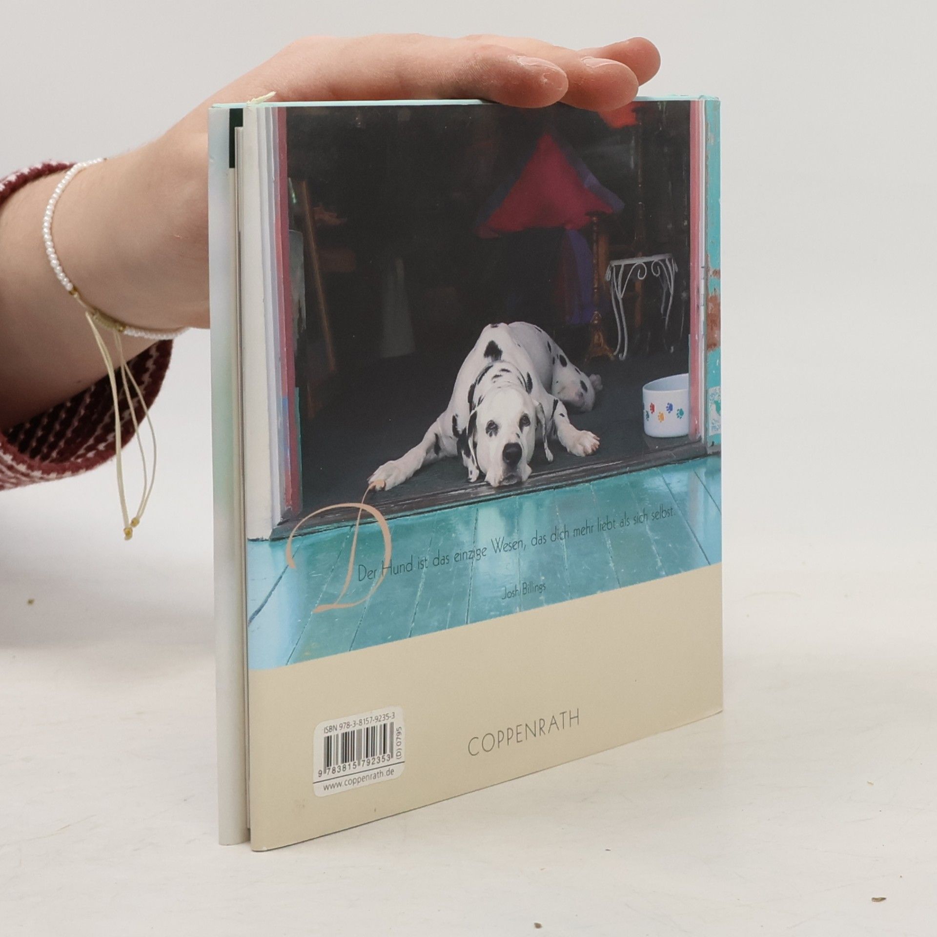 Kai König Hunde - treue Freunde