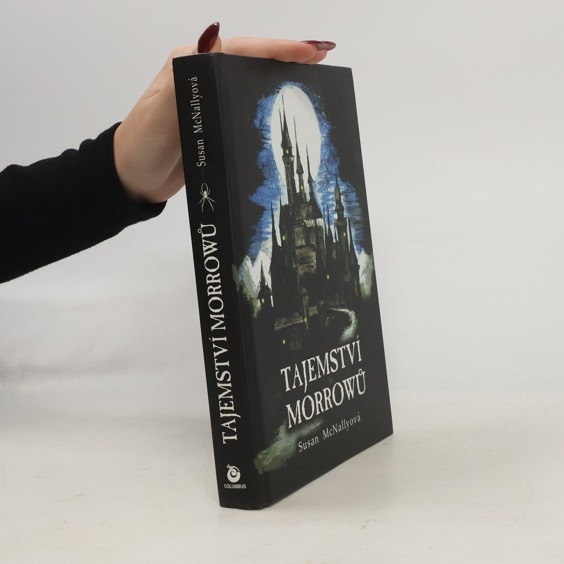 Susan McNally Tajemství Morrowů.