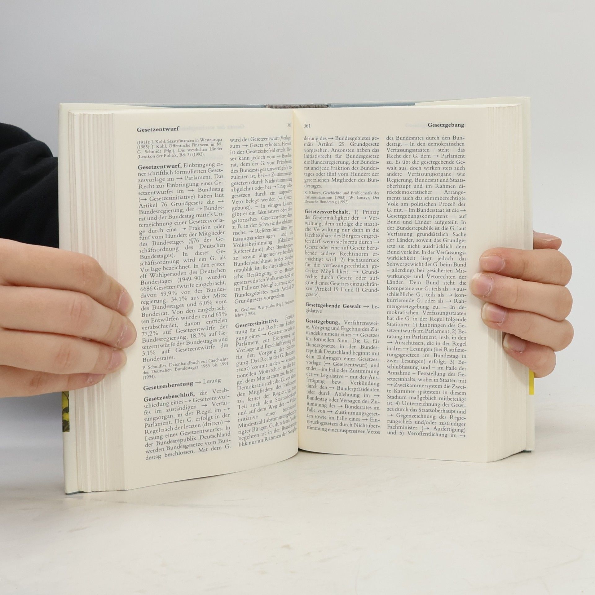 Manfred G. Schmidt Wörterbuch zur Politik
