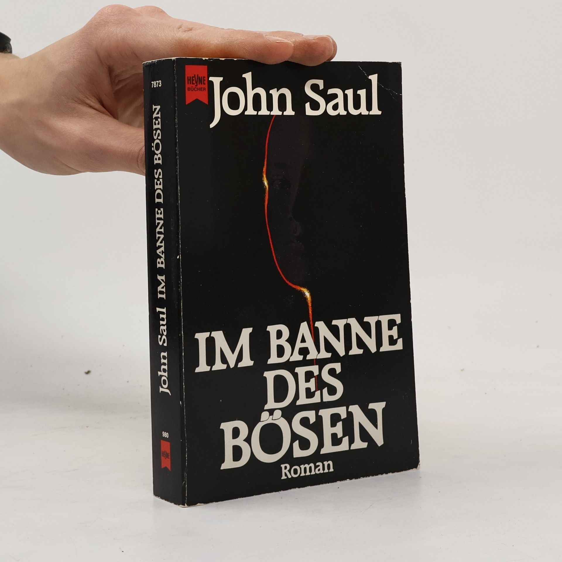 John Saul Im Banne des Bösen