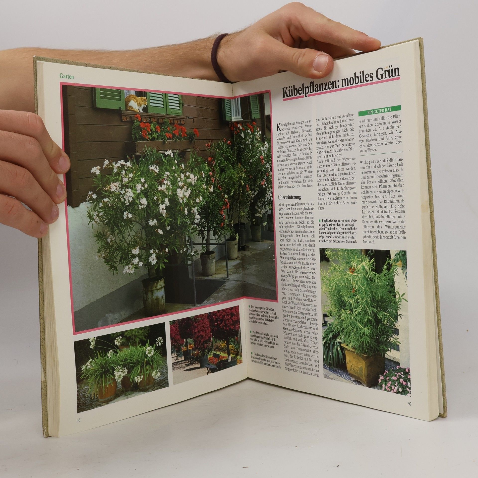 Kolektív autorov ARD Ratgeber. Heim + Garten mit vielen bewährten Tips