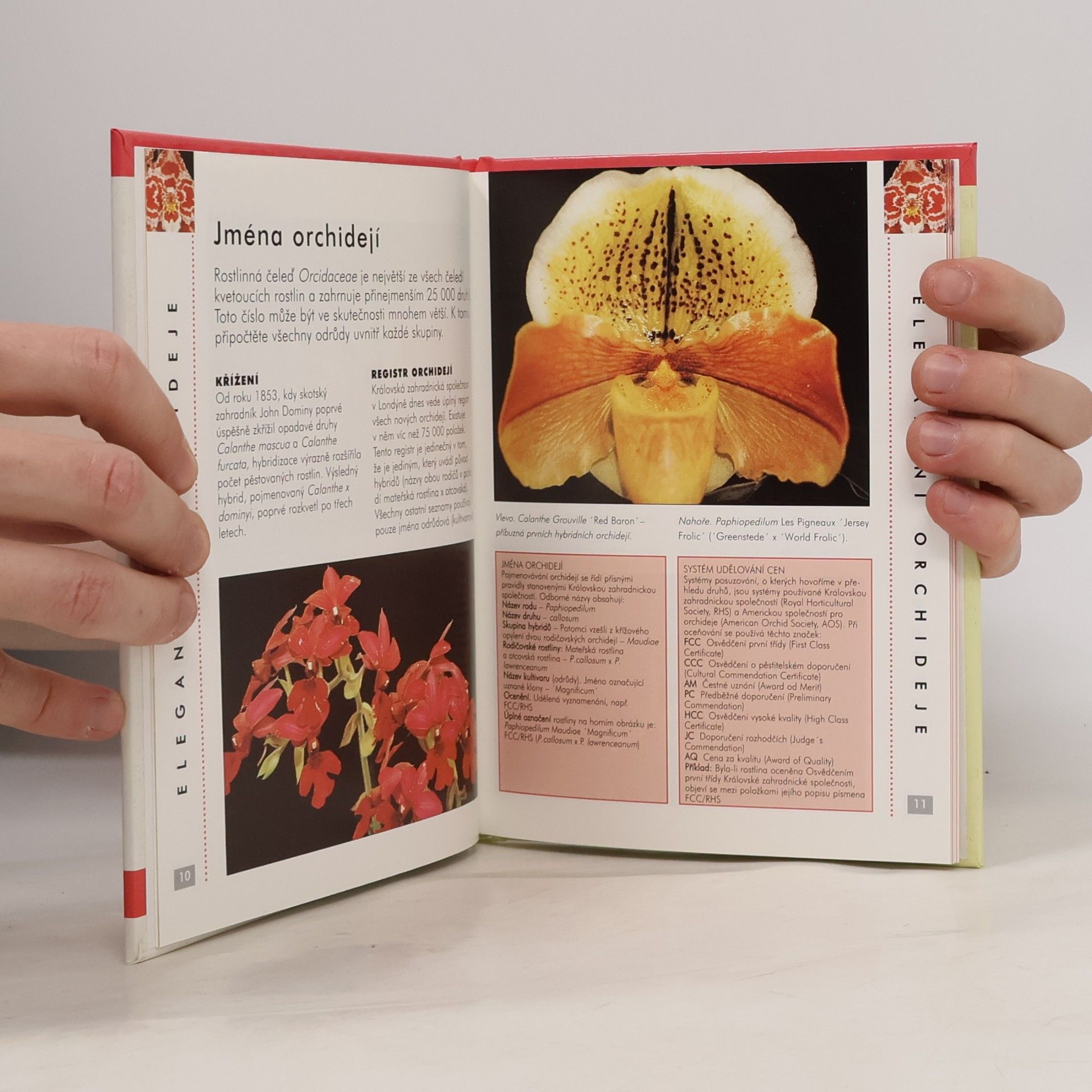Collectif d'auteurs Orchideje : praktický průvodce exotickým světem orchidejí