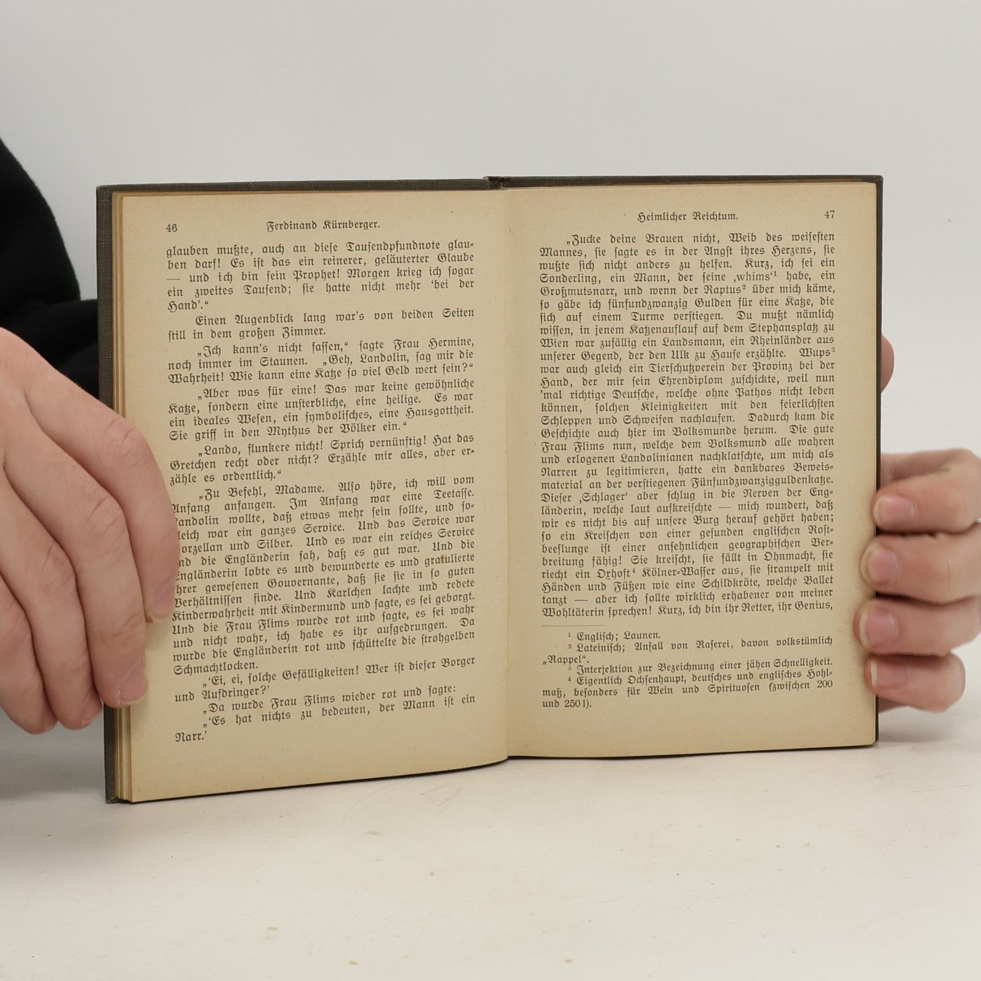 Ferdinand Kürnberger Heimlicher Reichtum